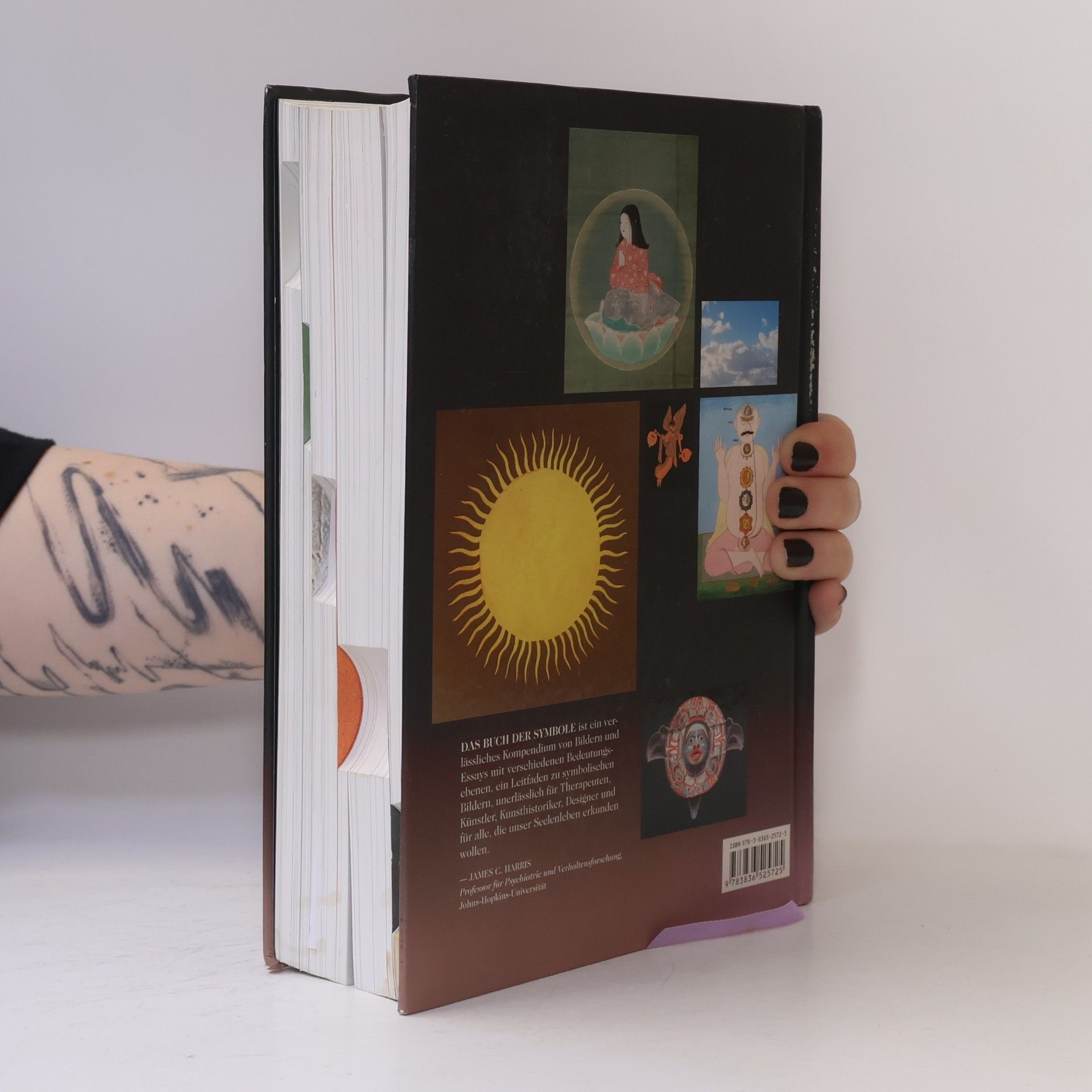 Ami Ronnberg Das Buch der Symbole