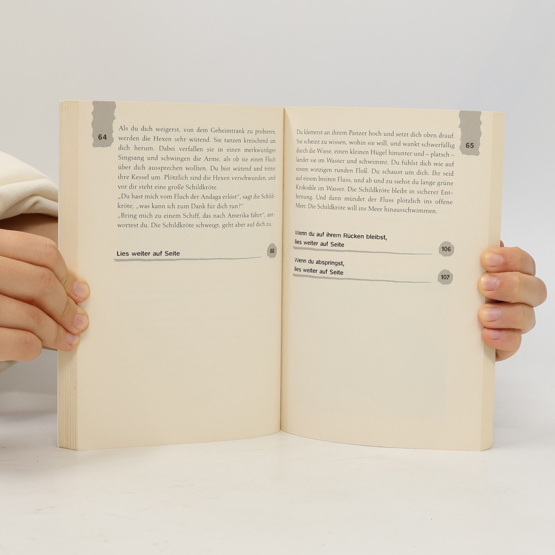 Edward Packard Die Insel der 1000 Gefahren
