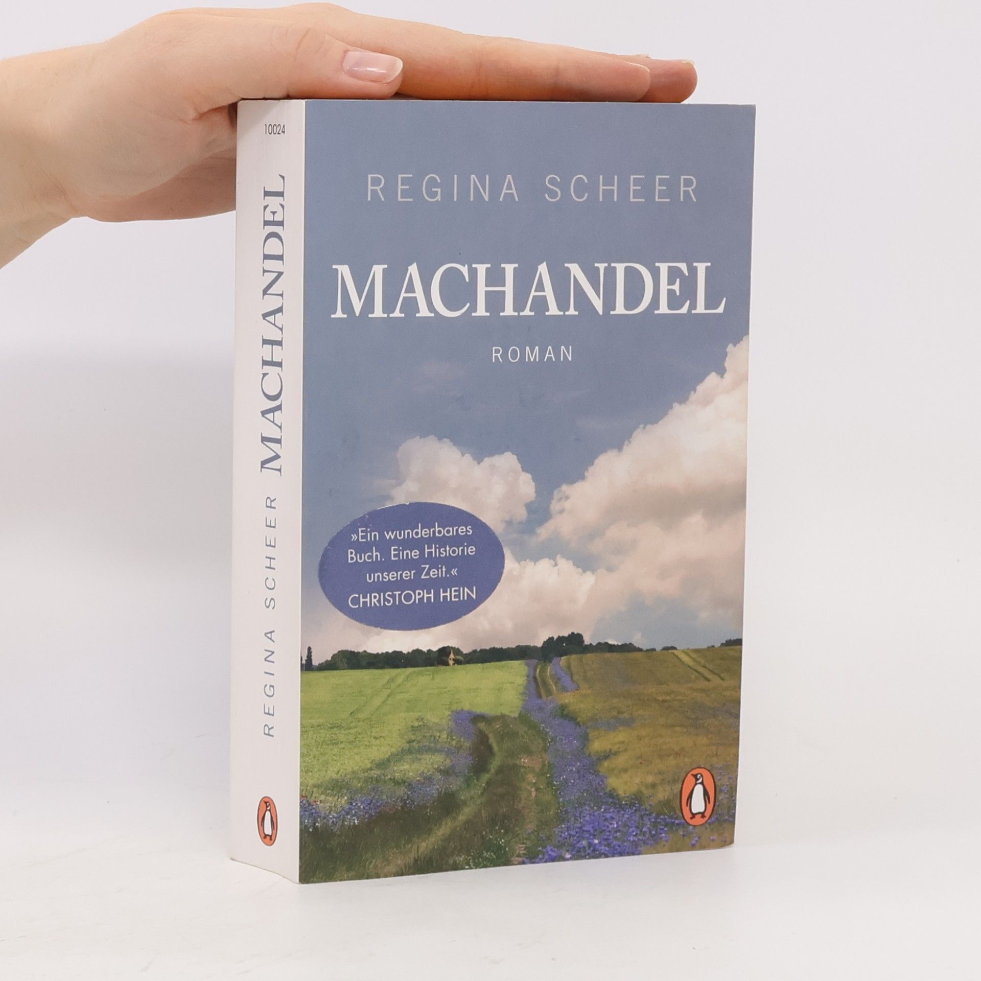 Regina Scheer Machandel
