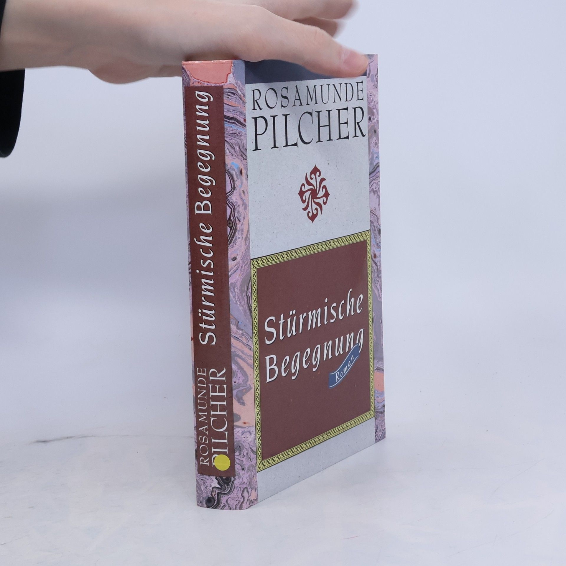 Rosamunde Pilcher Strürmische Begegnung