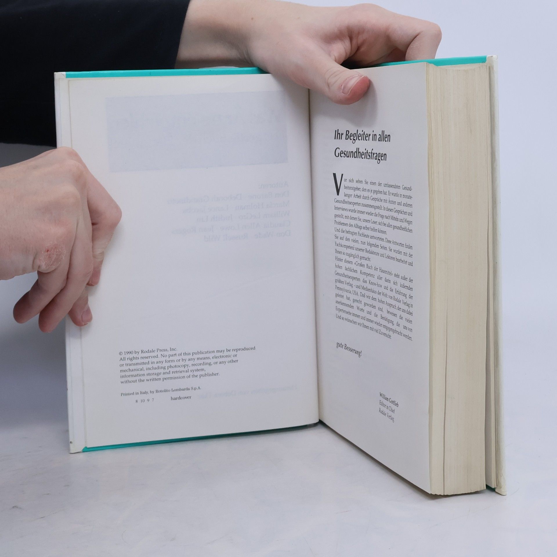 Debora Tkac Das grosse Buch der Haus Mittel