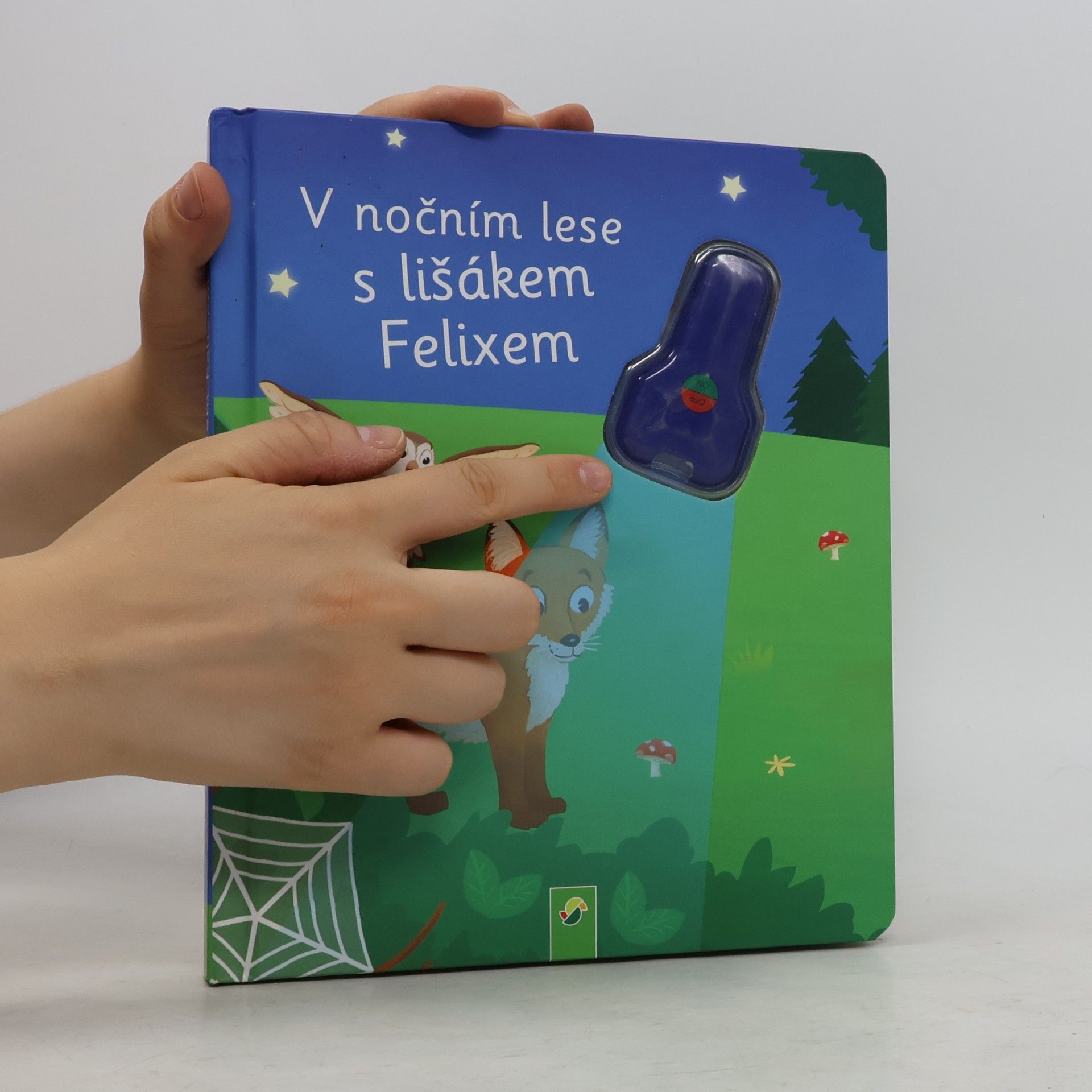 Autorenkollektiv V nočním lese s lišákem Felixem