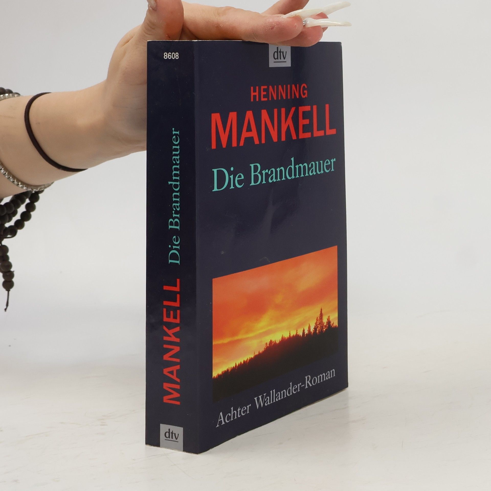 Henning Mankell Die Brandmauer