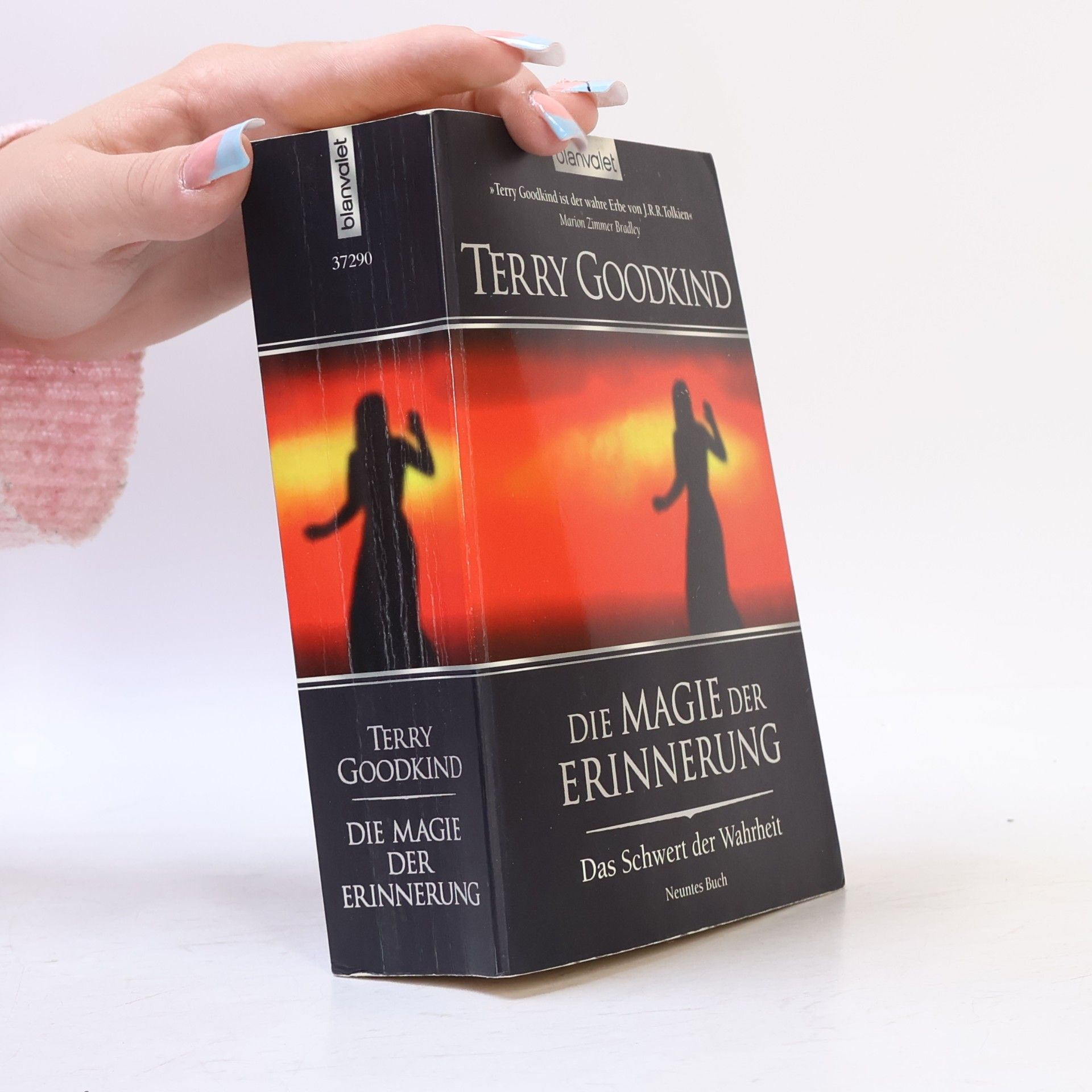 Terry Goodkind Die Magie der Erinnerung