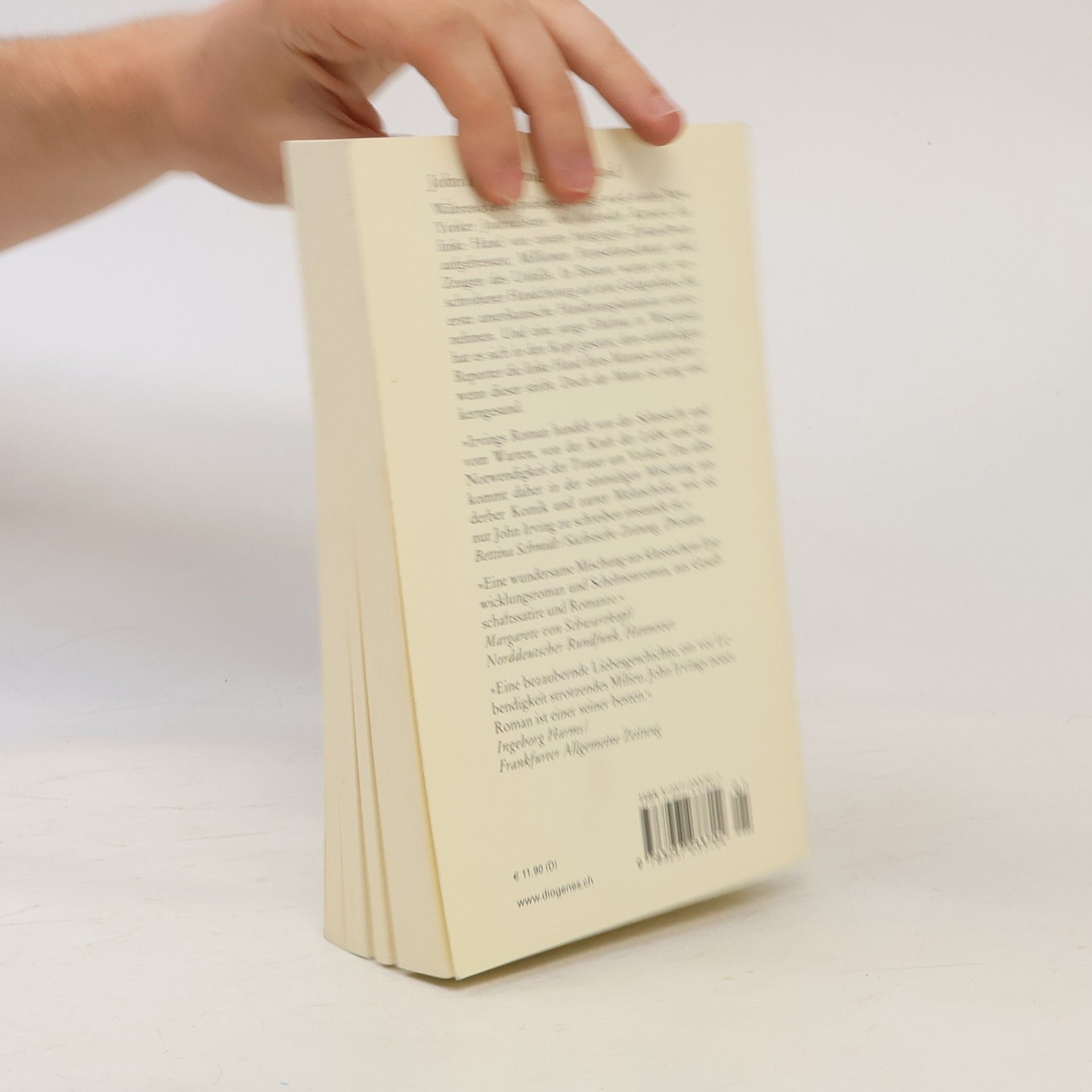 John Irving Die vierte Hand
