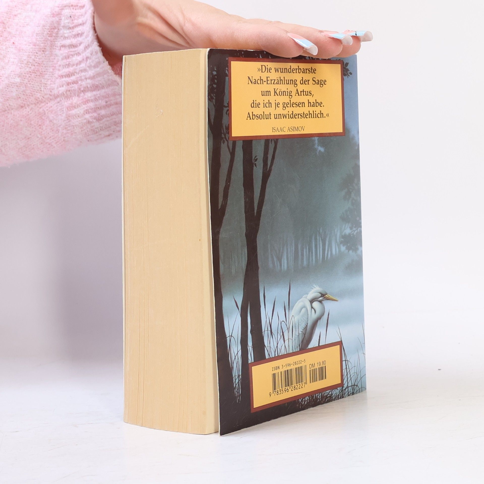 Marion Zimmer Bradley Die Nebel von Avalon