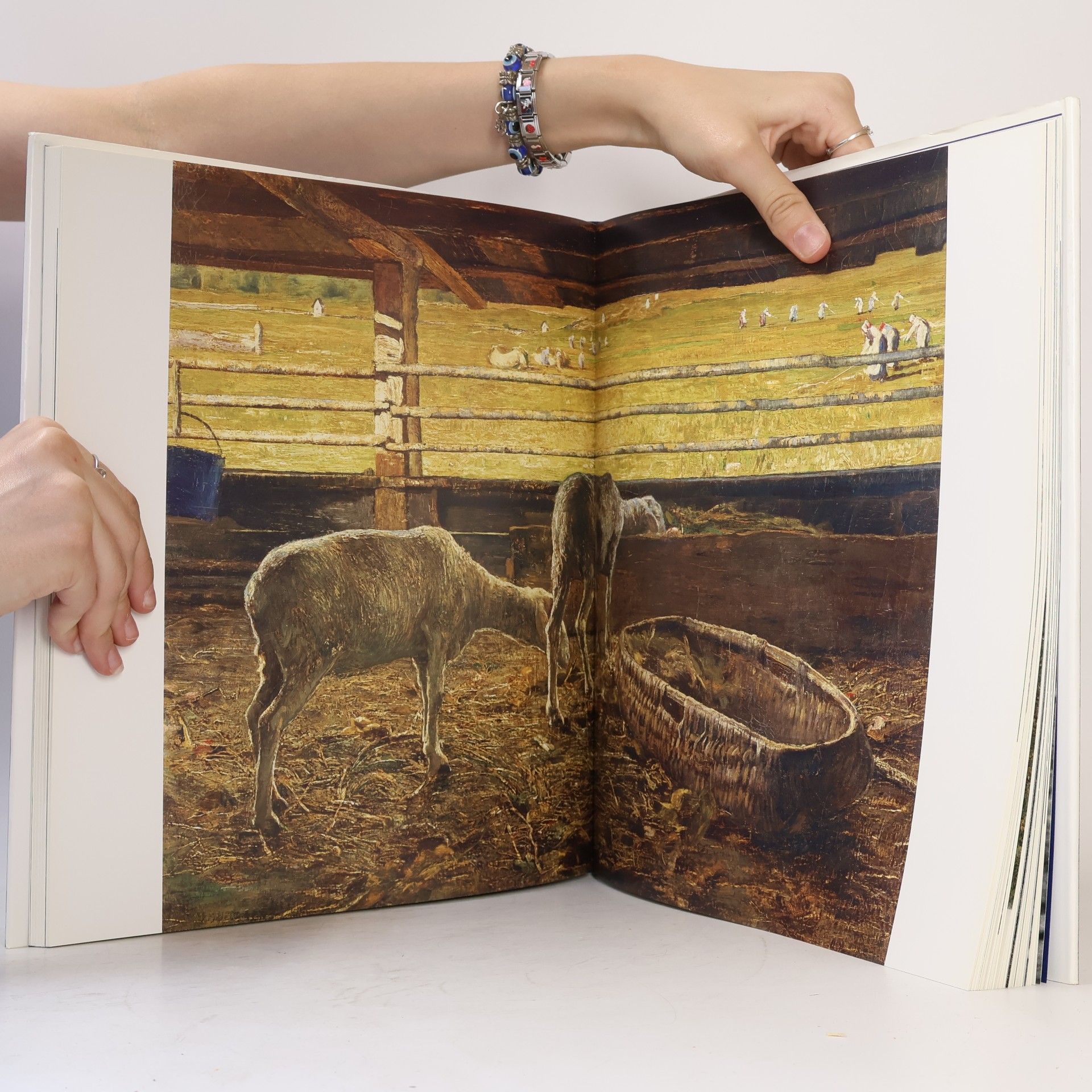 Diana Segantini Segantini
