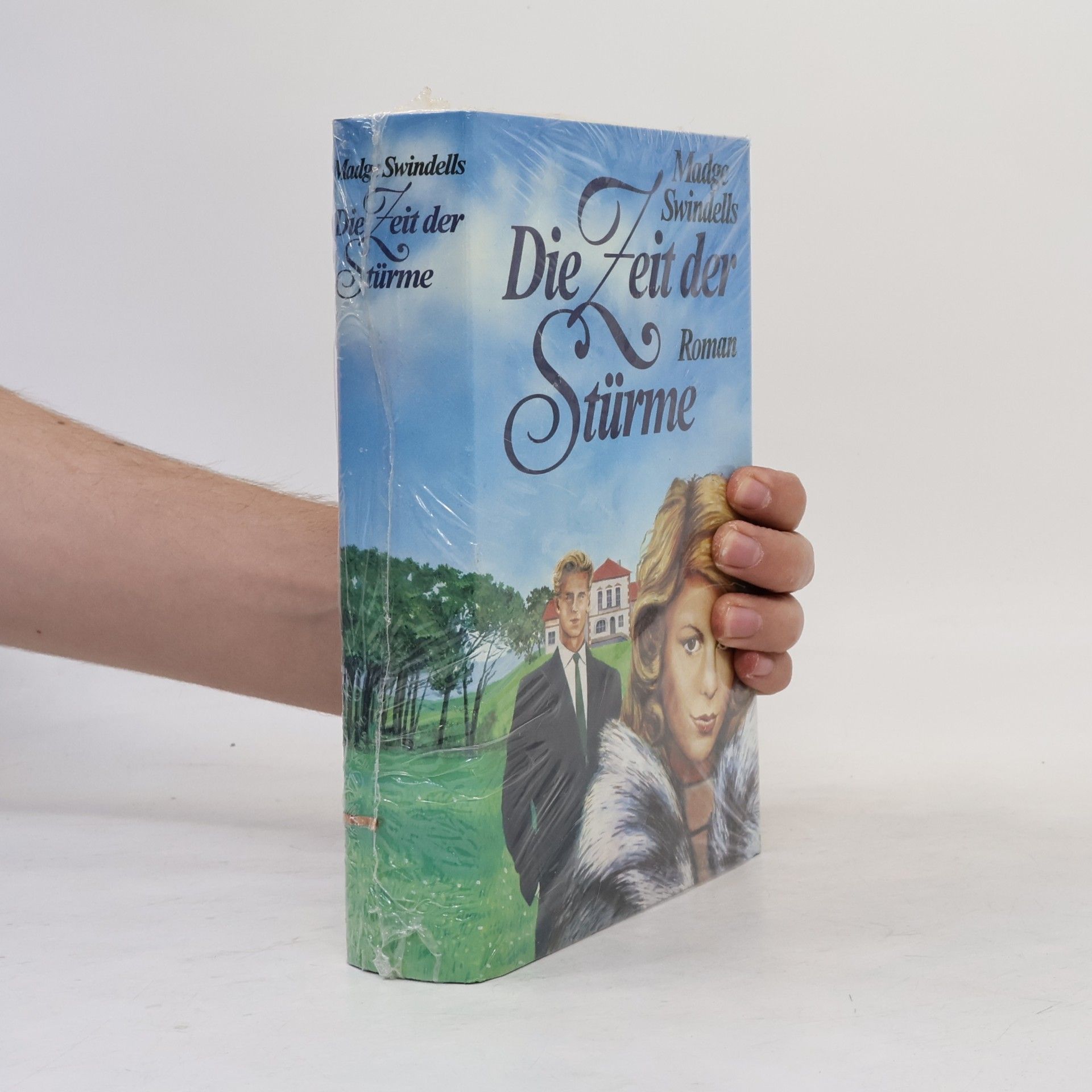 Madge Swindellis Die Zeit der Stürme