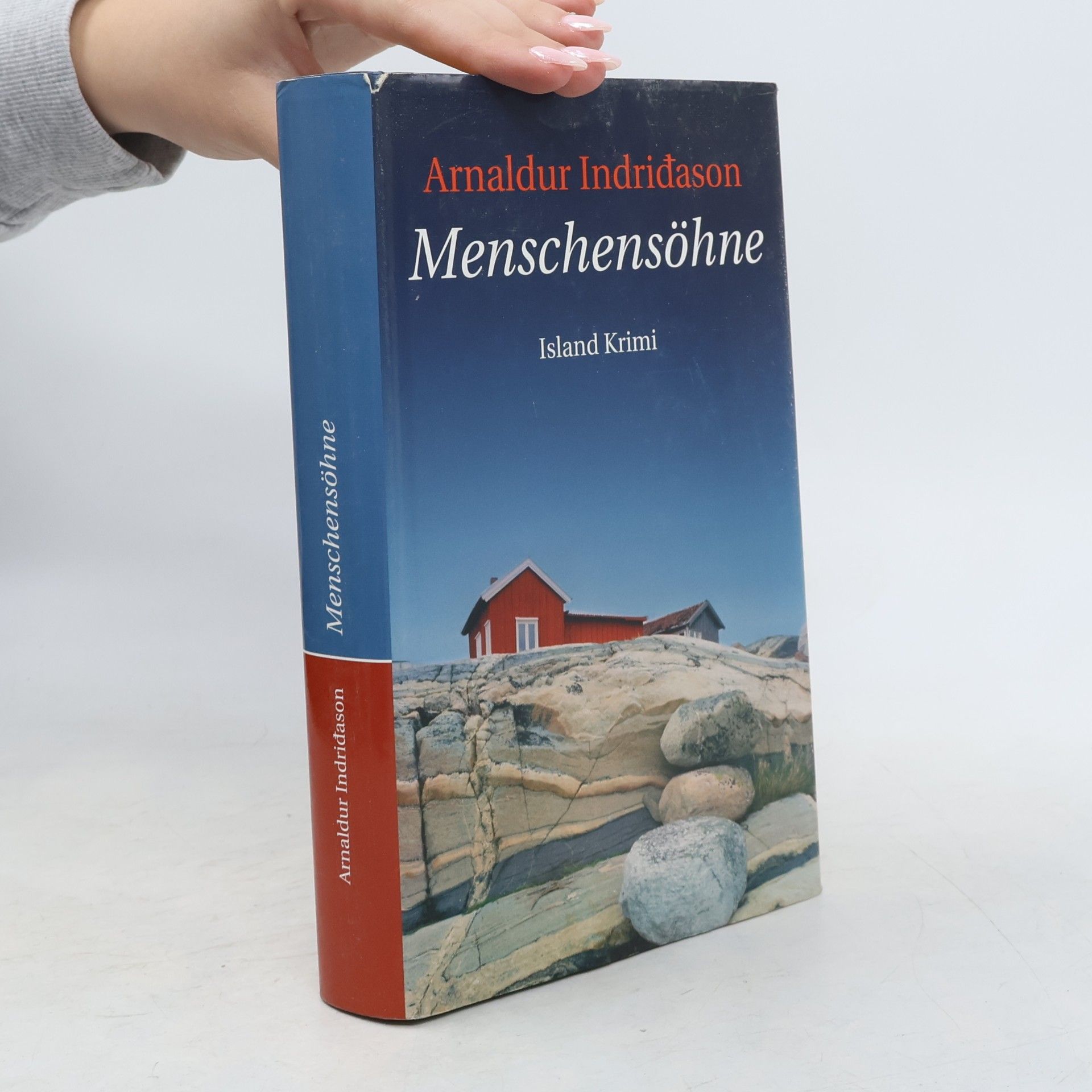 Arnaldur Indriðason Menschensöhne