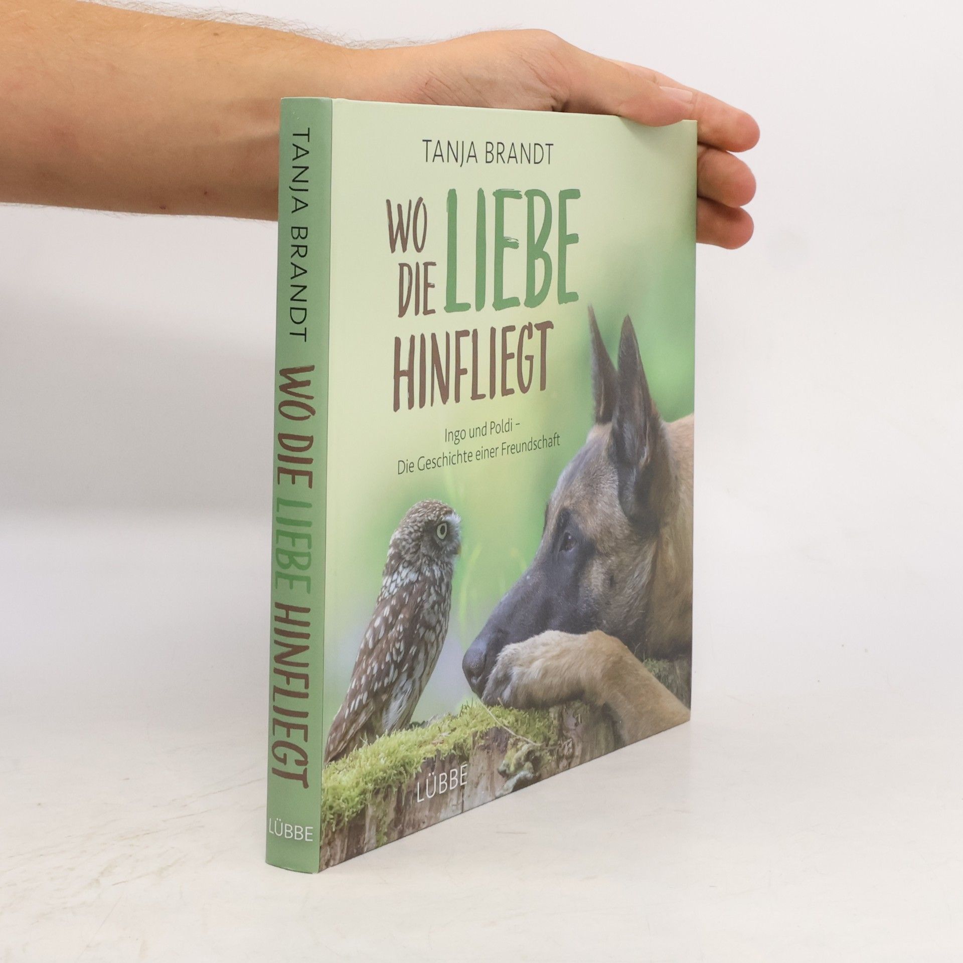 Tanja Brandt Wo die Liebe hinfliegt