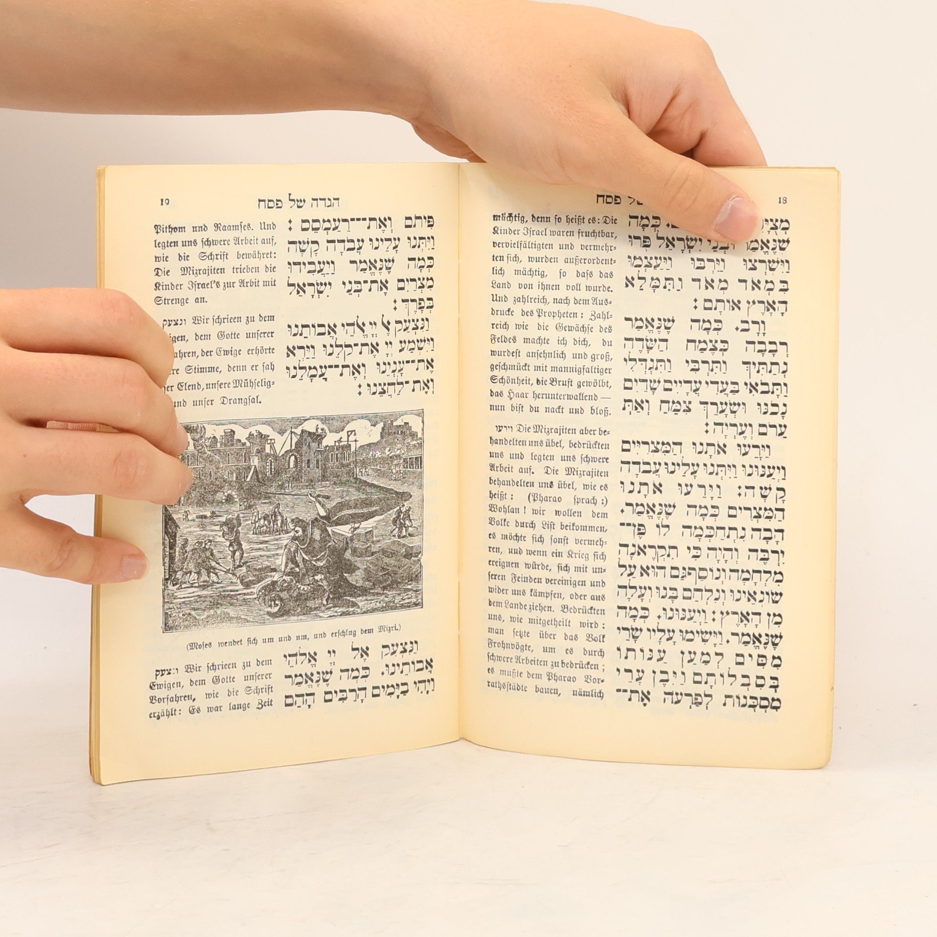 Autorenkollektiv Pessach Haggadah