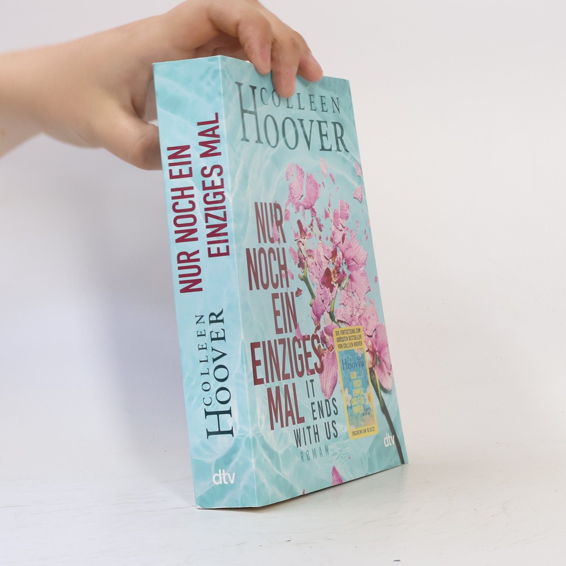Colleen Hoover Nur noch ein einziges Mal