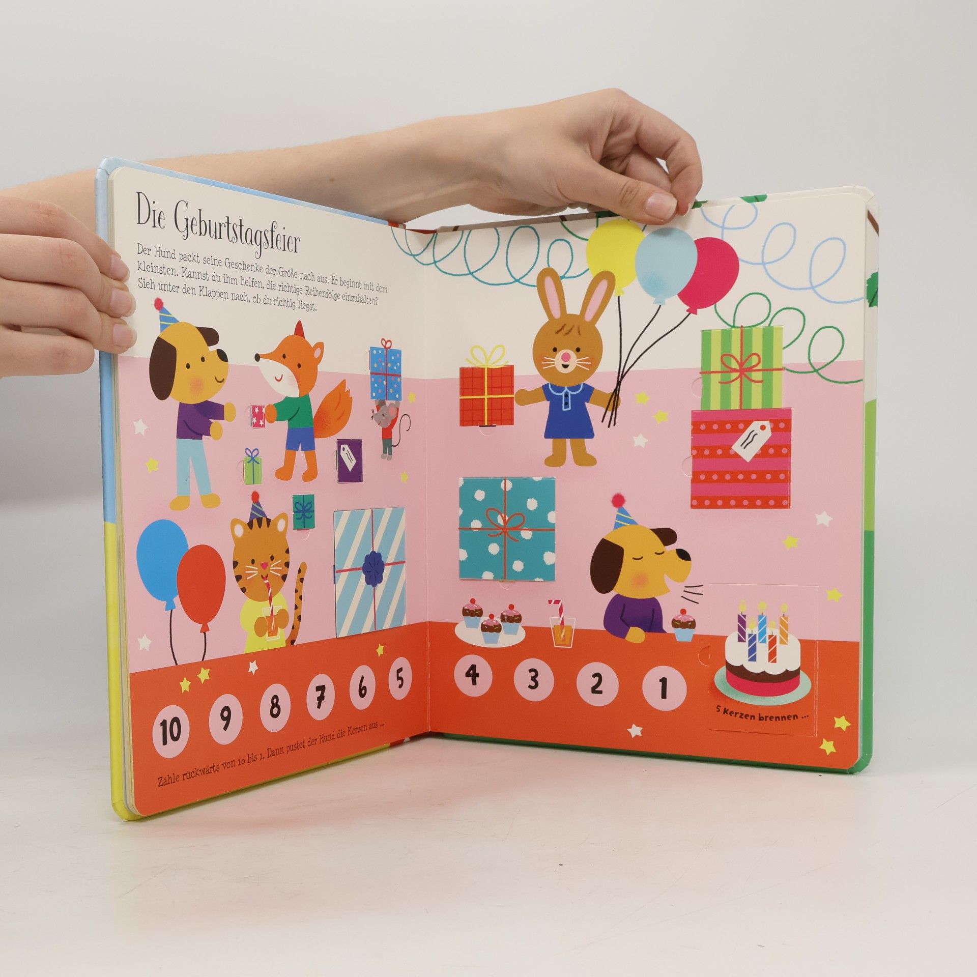 Mélisande Luthringer Mein buntes Klappenbuch