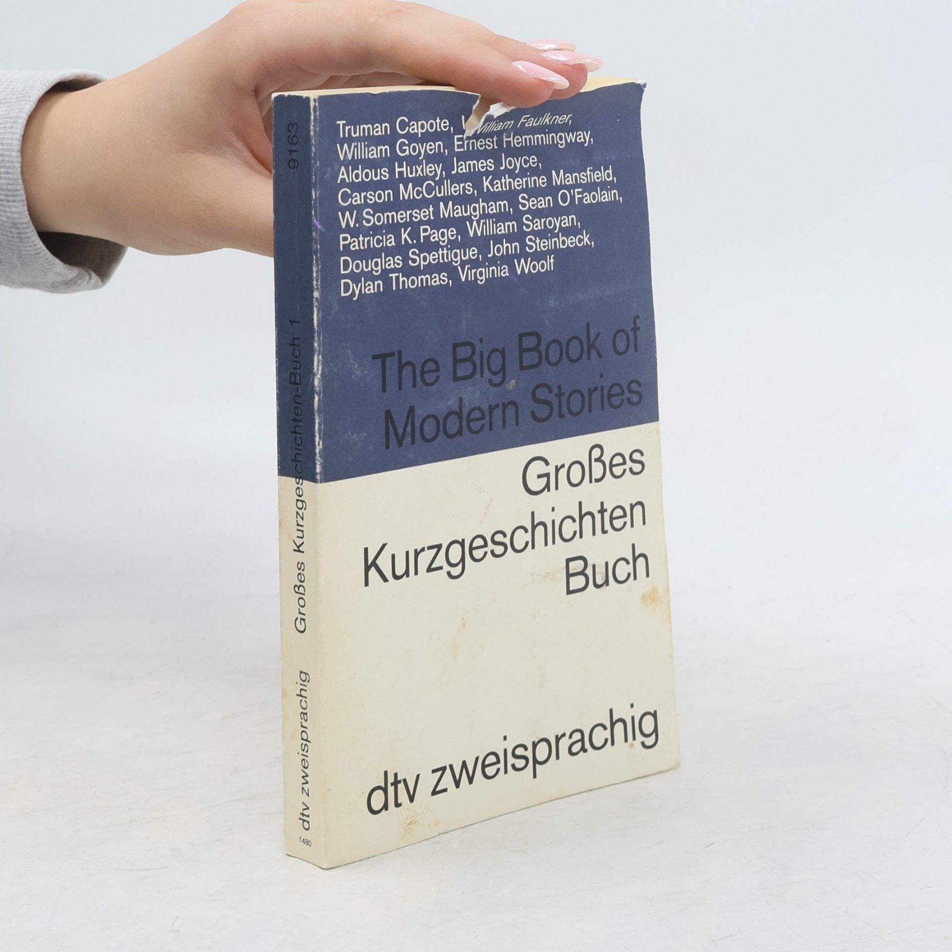 Various authors Großes Kurzgeschichten-Buch 1. The Big Book of Modern Stories. Engl.-Dtsch. 16 Kurzgeschichten v. brit., irischen, amerikan. u. kanad. Autoren
