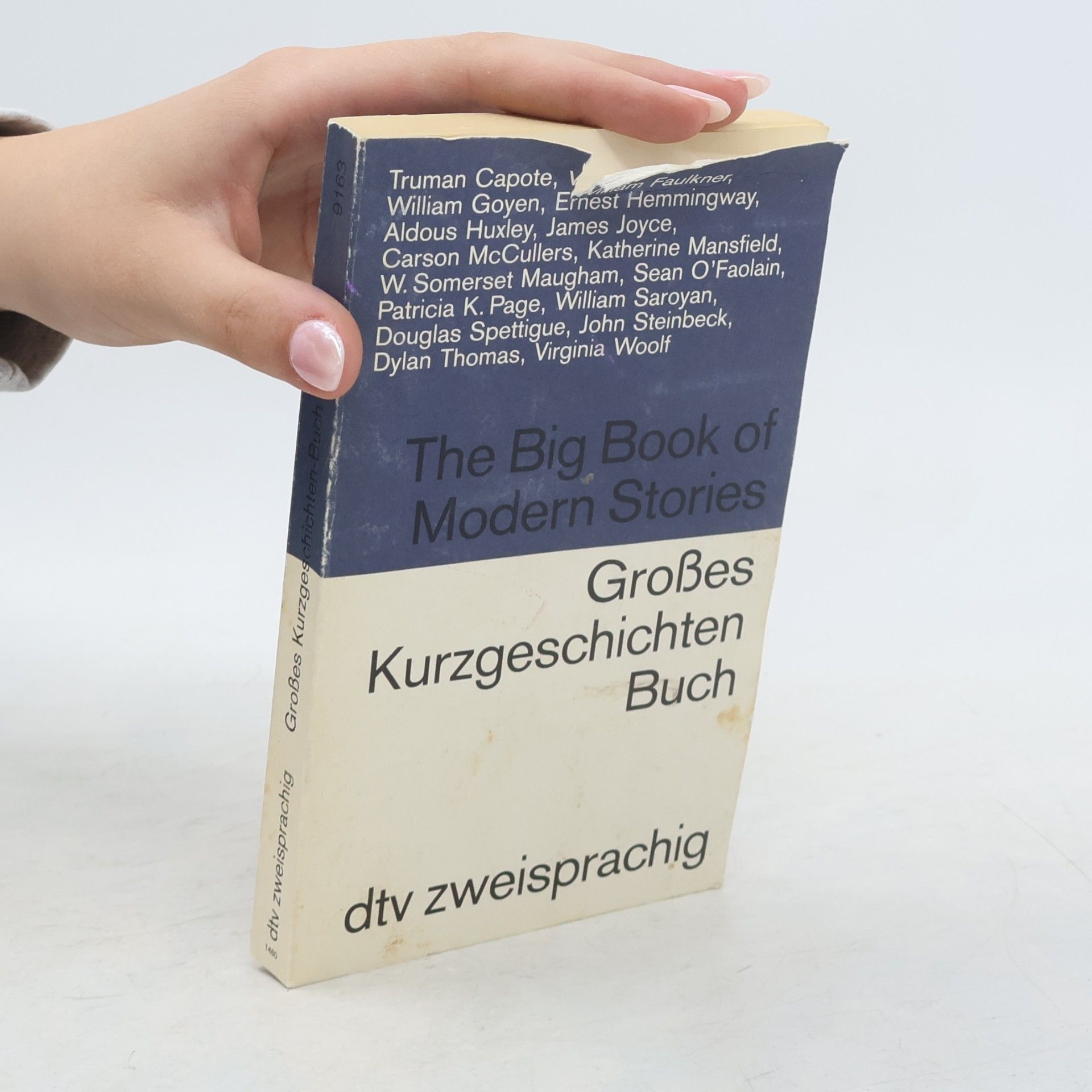Various authors Großes Kurzgeschichten-Buch 1. The Big Book of Modern Stories. Engl.-Dtsch. 16 Kurzgeschichten v. brit., irischen, amerikan. u. kanad. Autoren