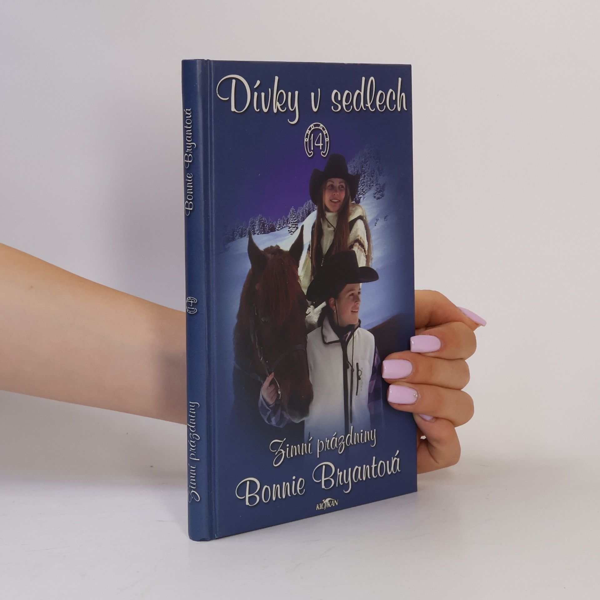 Bonnie Bryant Dívky v sedlech. 14, Zimní prázdniny