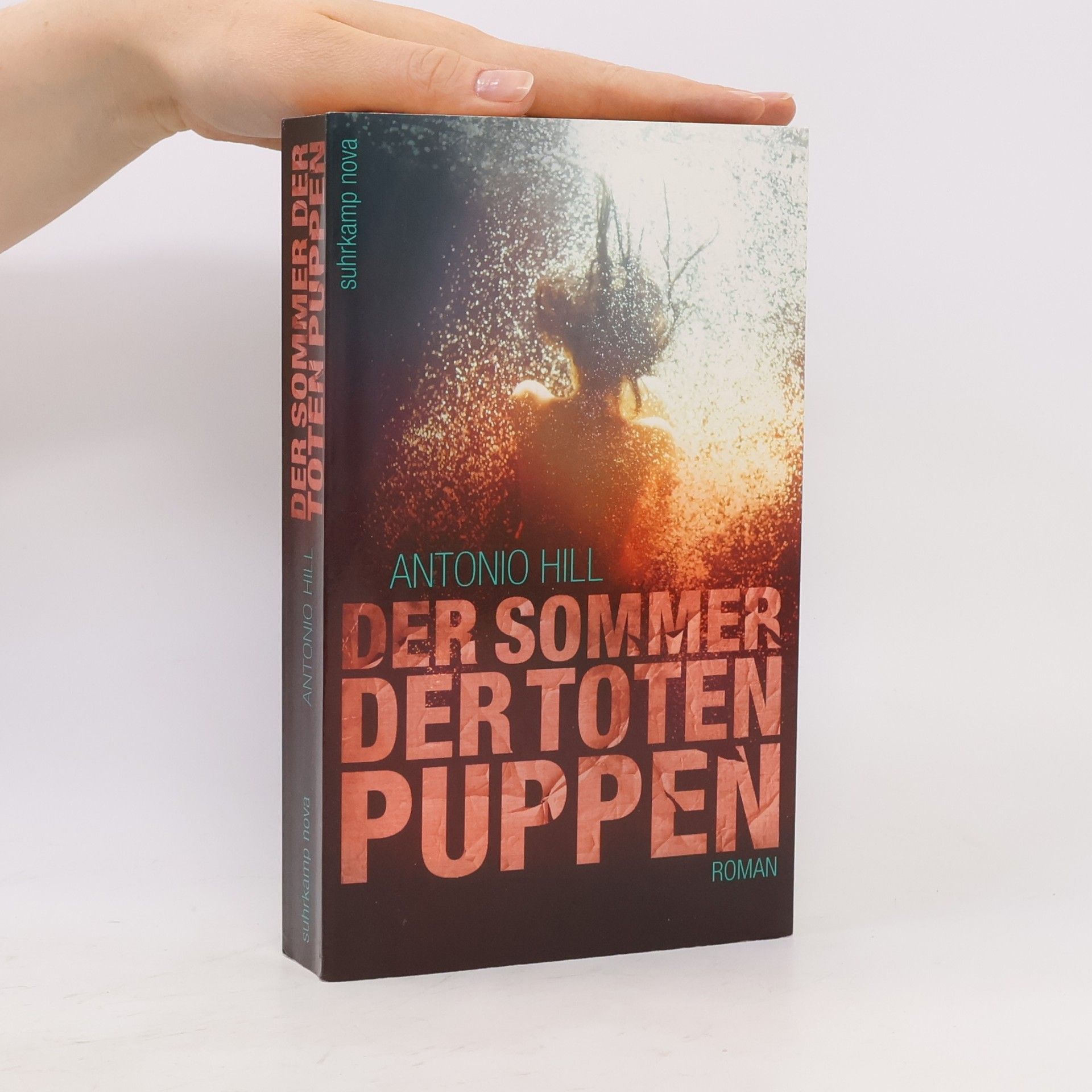 Toni Hill Der Sommer der Toten Puppen