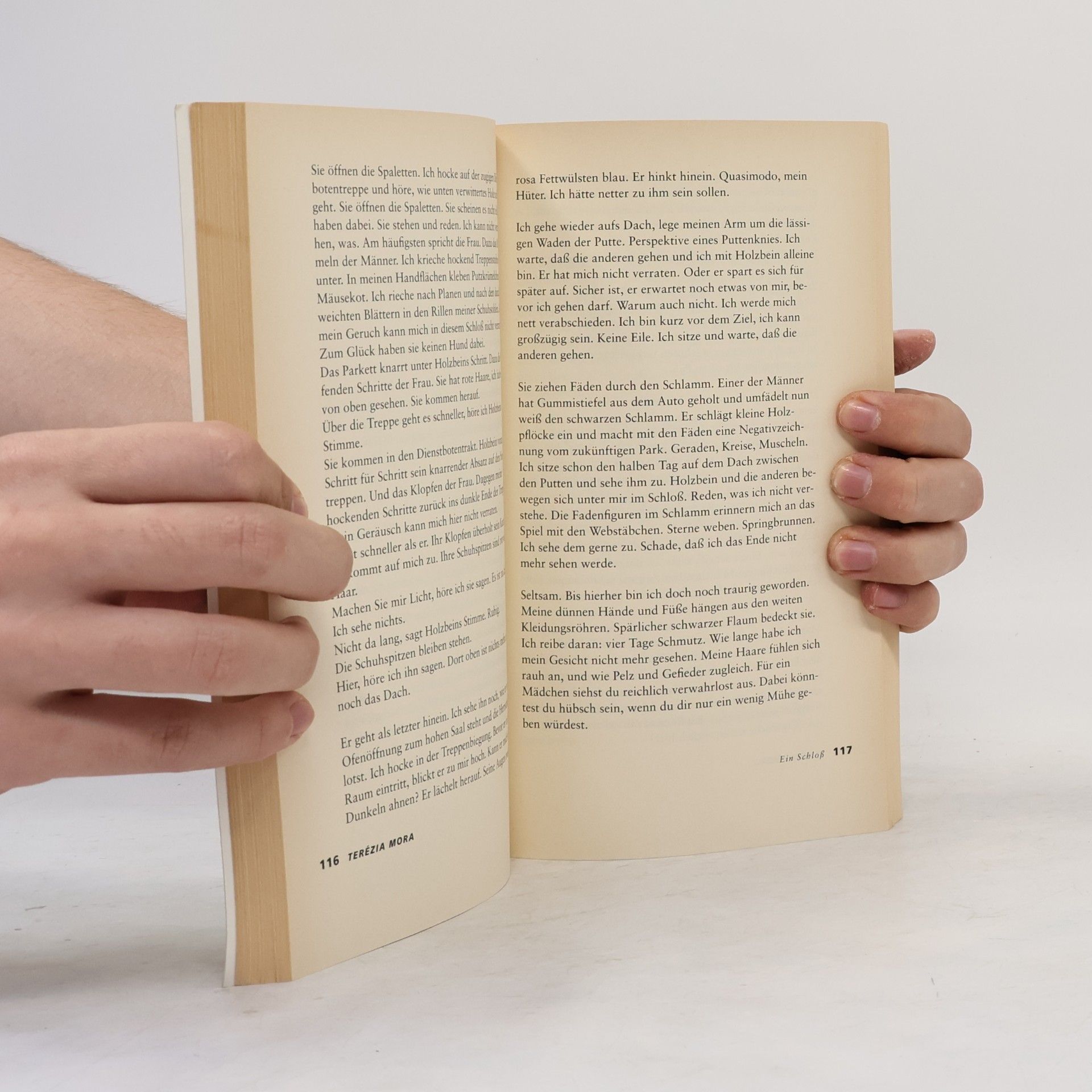 Jamal Tuschick Morgen Land. Neuste deutsche Literatur
