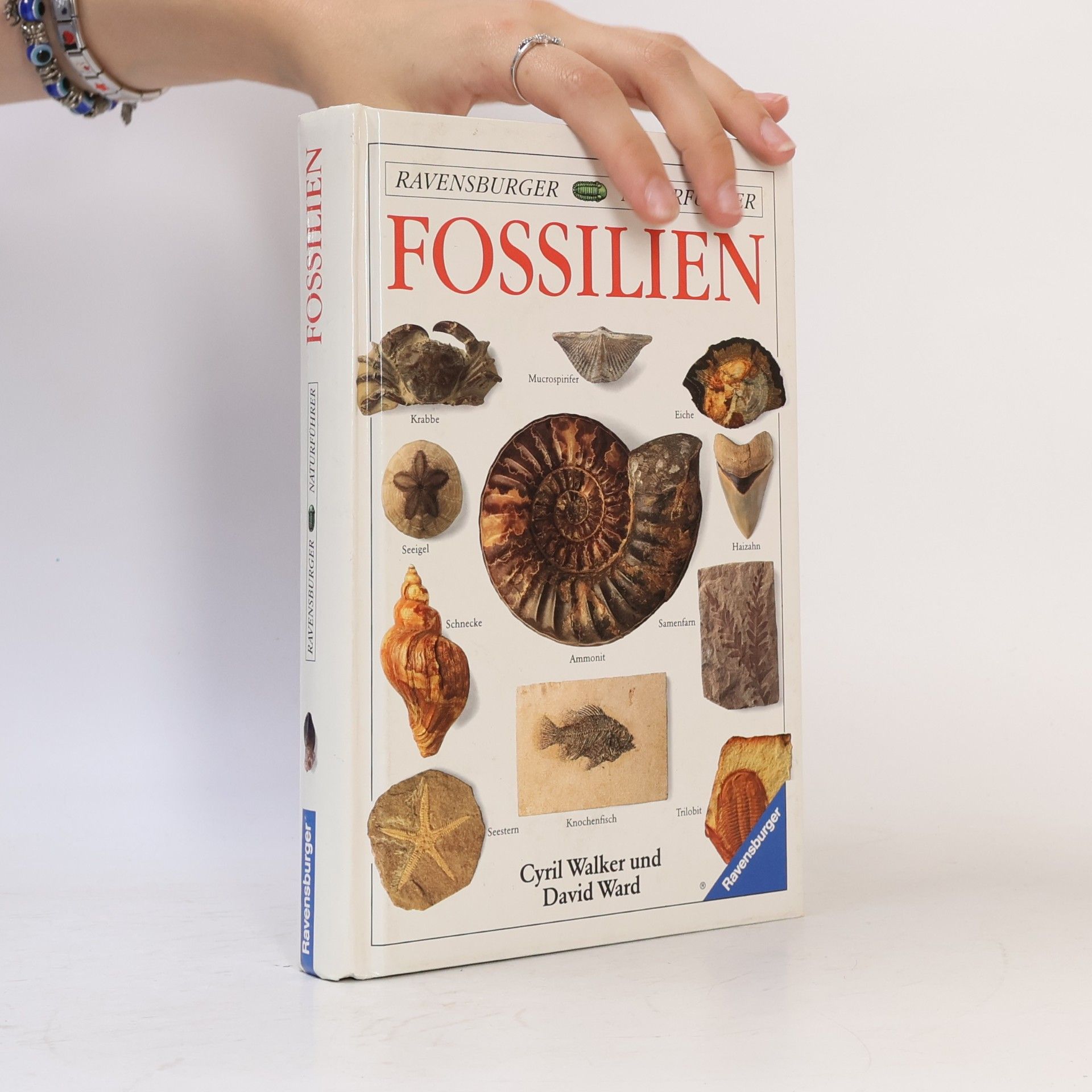 Fossilien