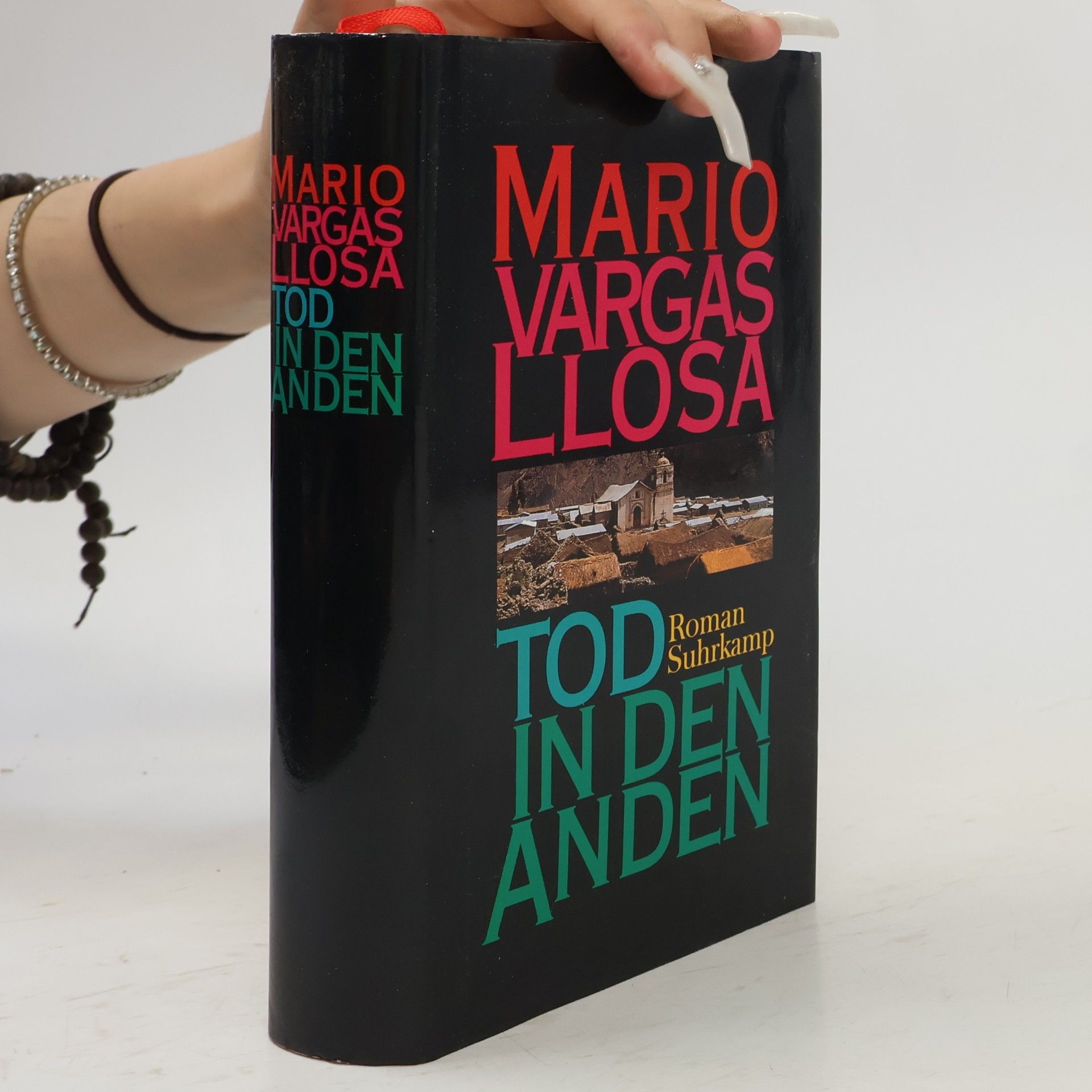 Mario Vargas Llosa Tod in den Anden