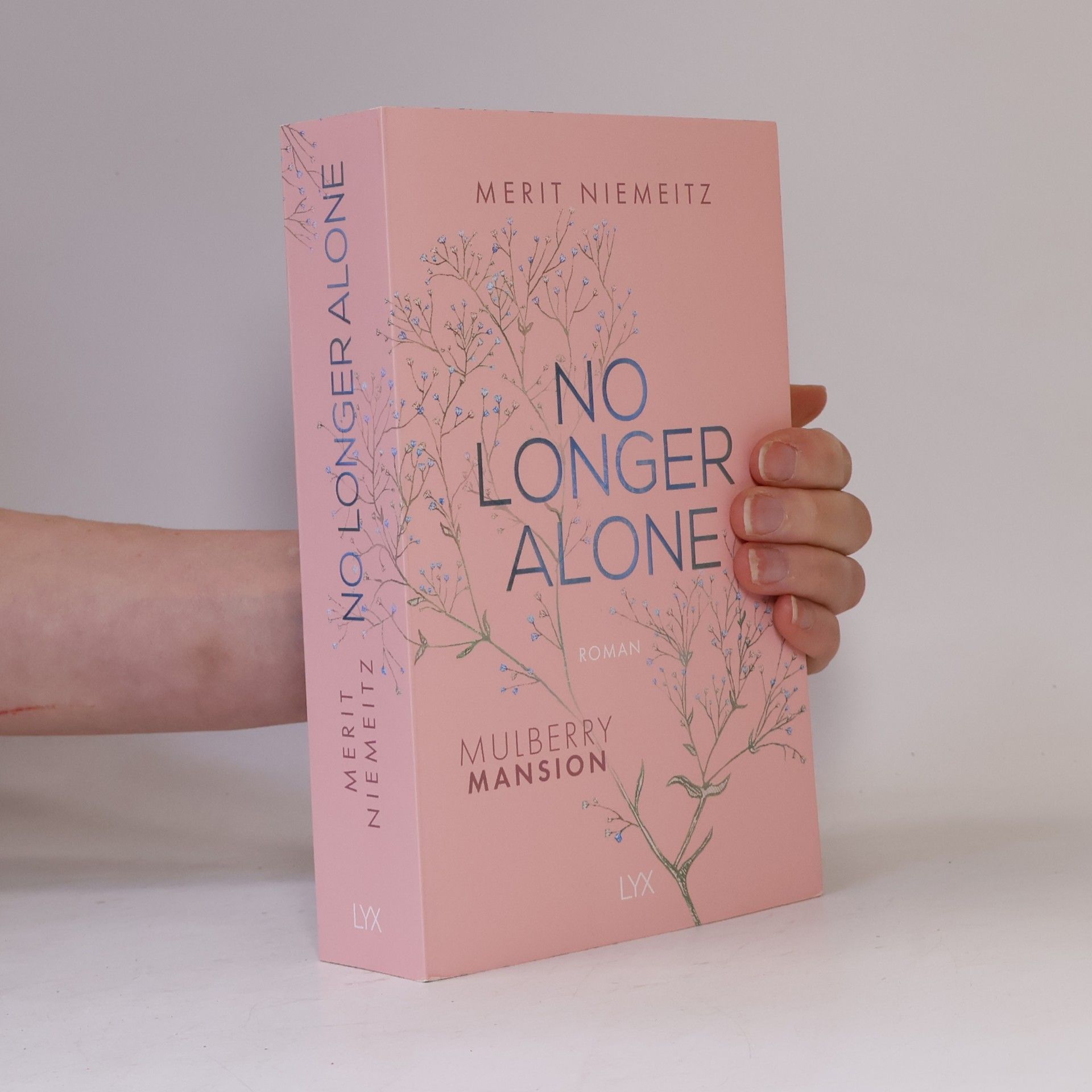 Merit Niemeitz No Longer Alone - Mulberry Mansion