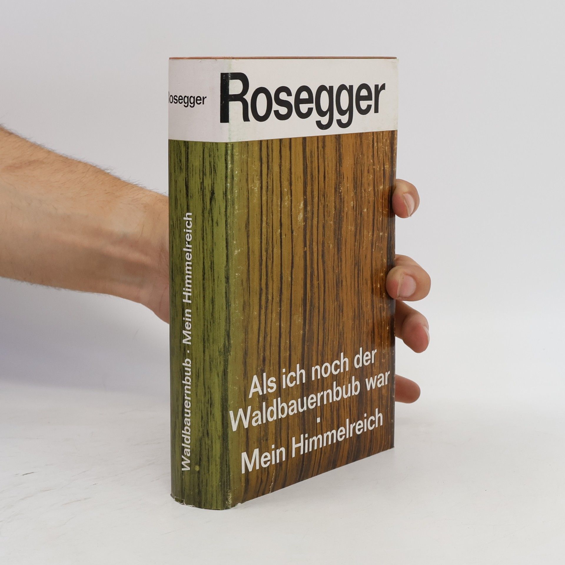 Petr Rosegger Als ich noch der Waldbauernbub war. Mein Himmelreich