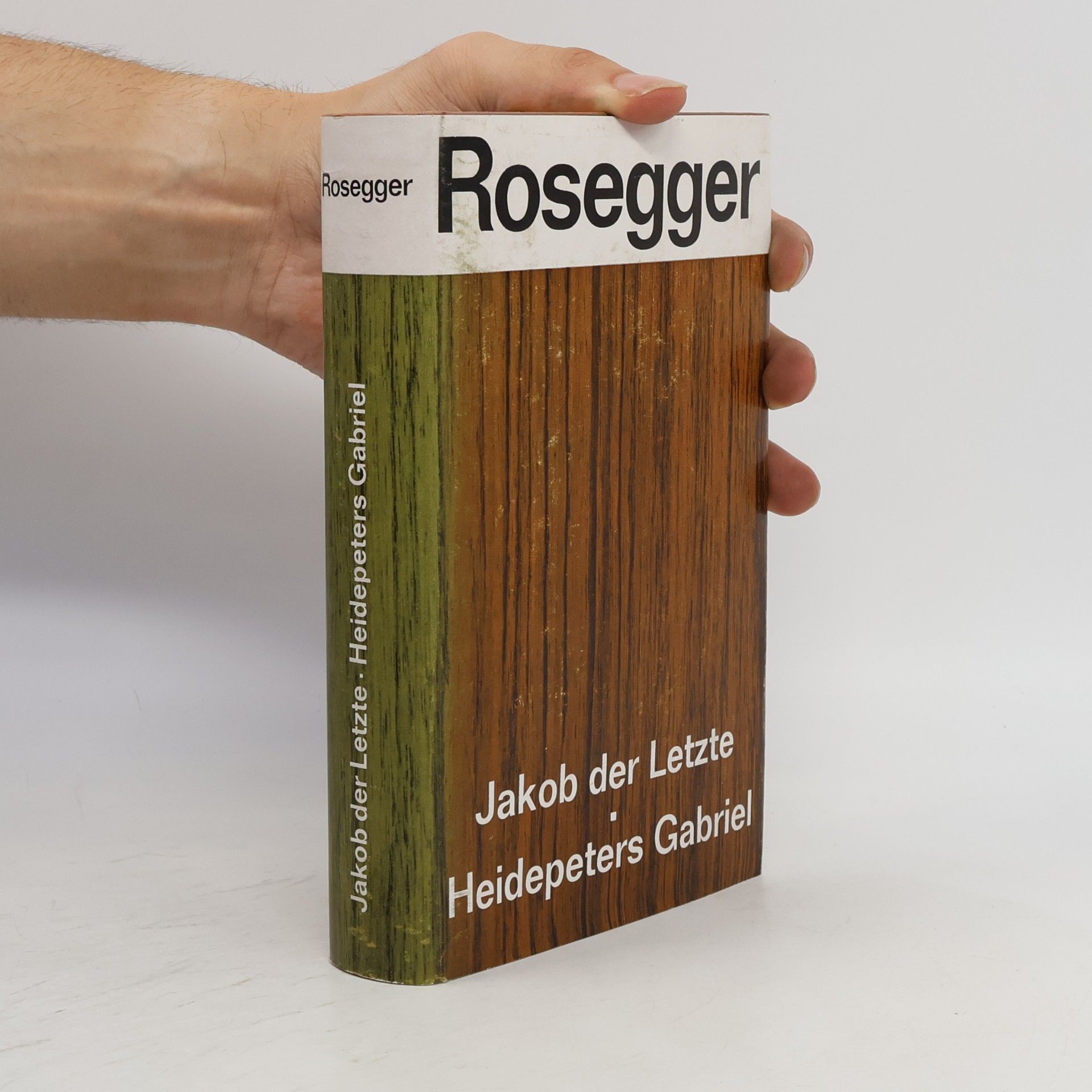 Petr Rosegger Jakob der Letzte; Heidepeters Gabriel