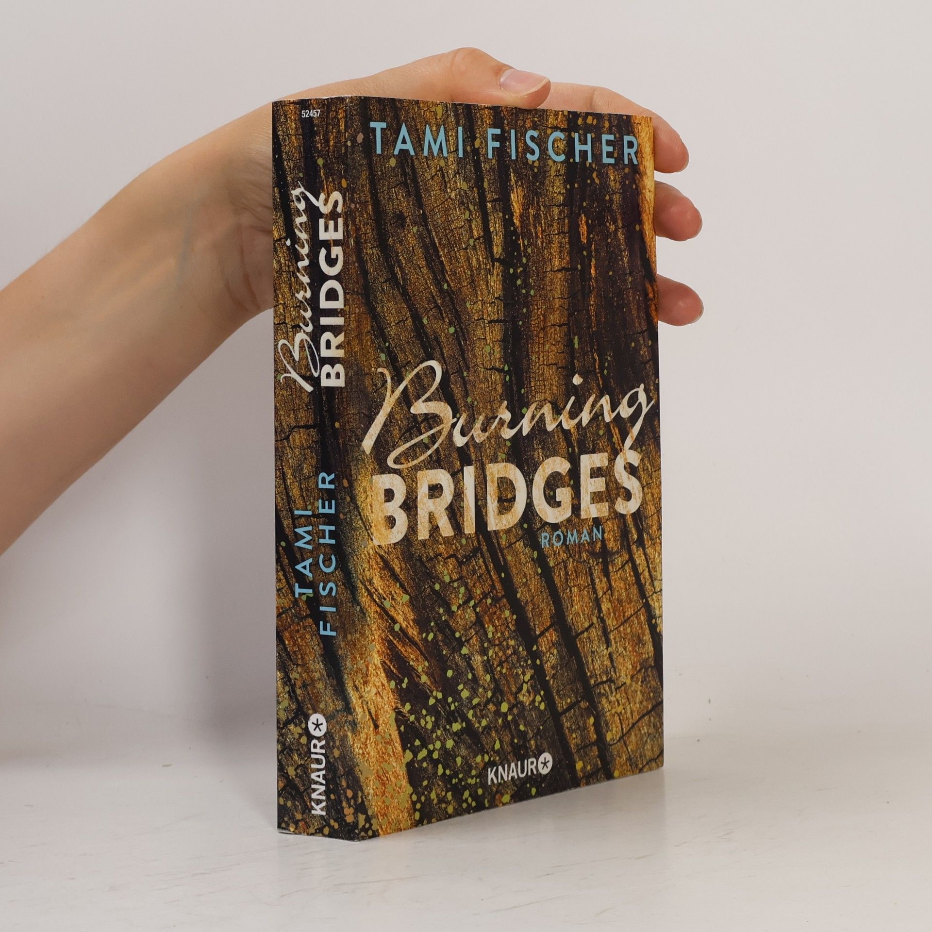 Tami Fischer Burning bridges