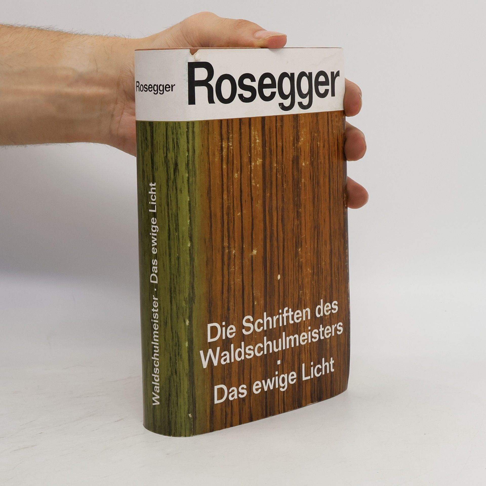 Peter Rosegger Die Schriften des waldschulmeisters. Das ewige licht