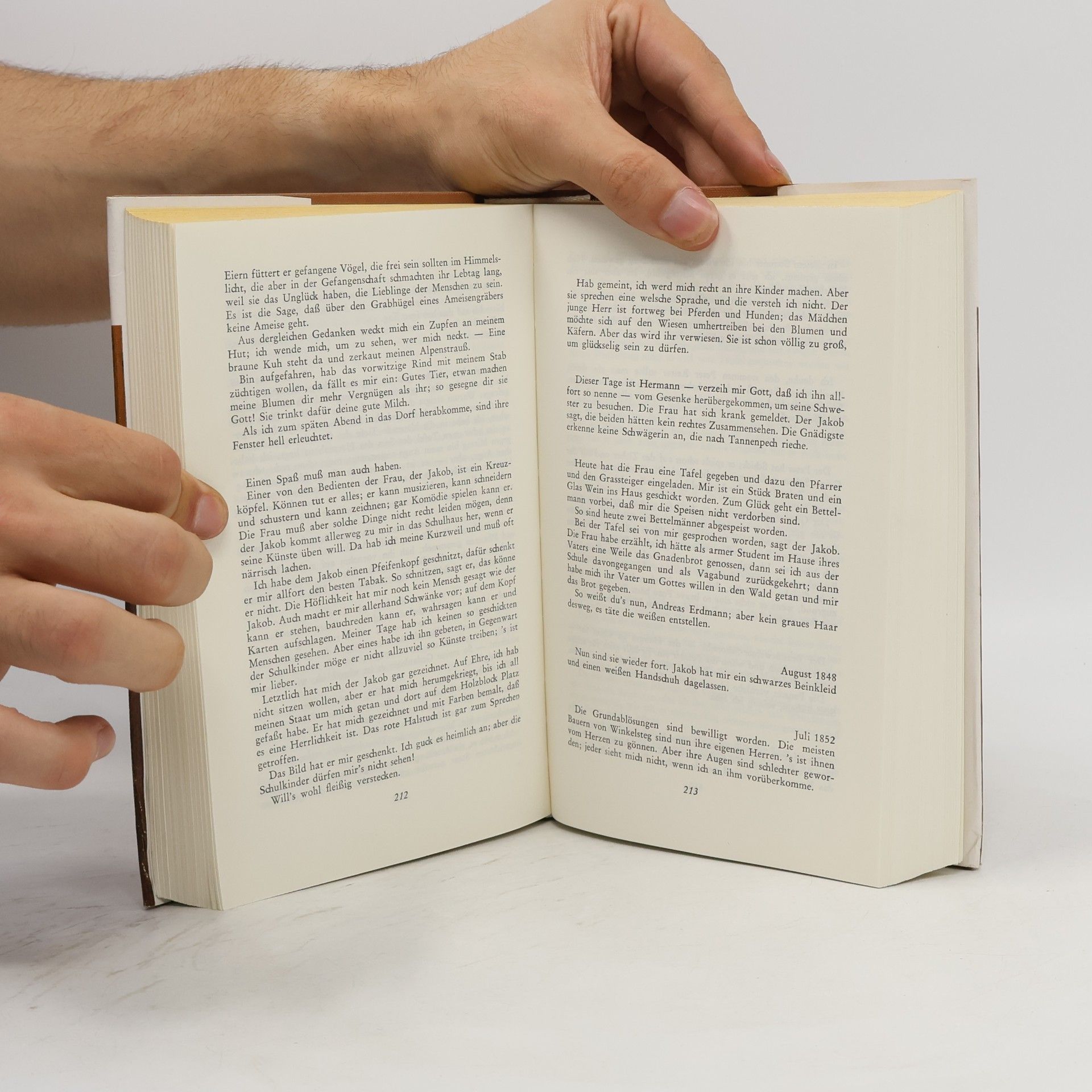 Peter Rosegger Die Schriften des waldschulmeisters. Das ewige licht
