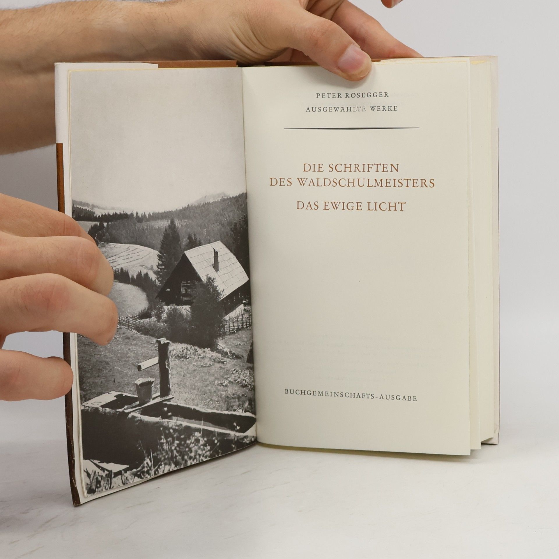 Peter Rosegger Die Schriften des waldschulmeisters. Das ewige licht