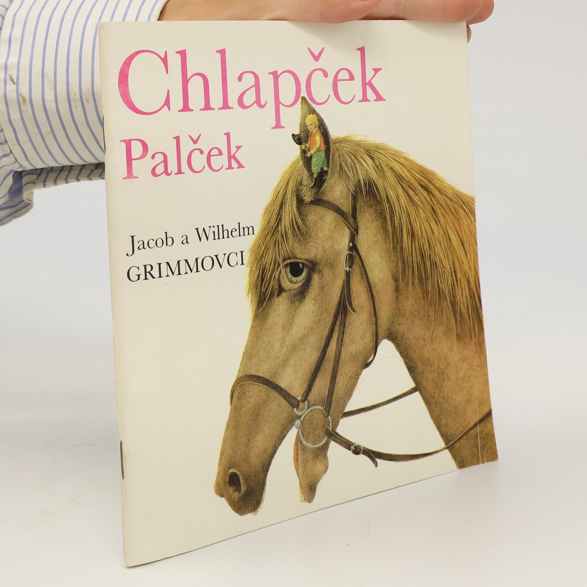 Jacob Grimm Chlapček palček