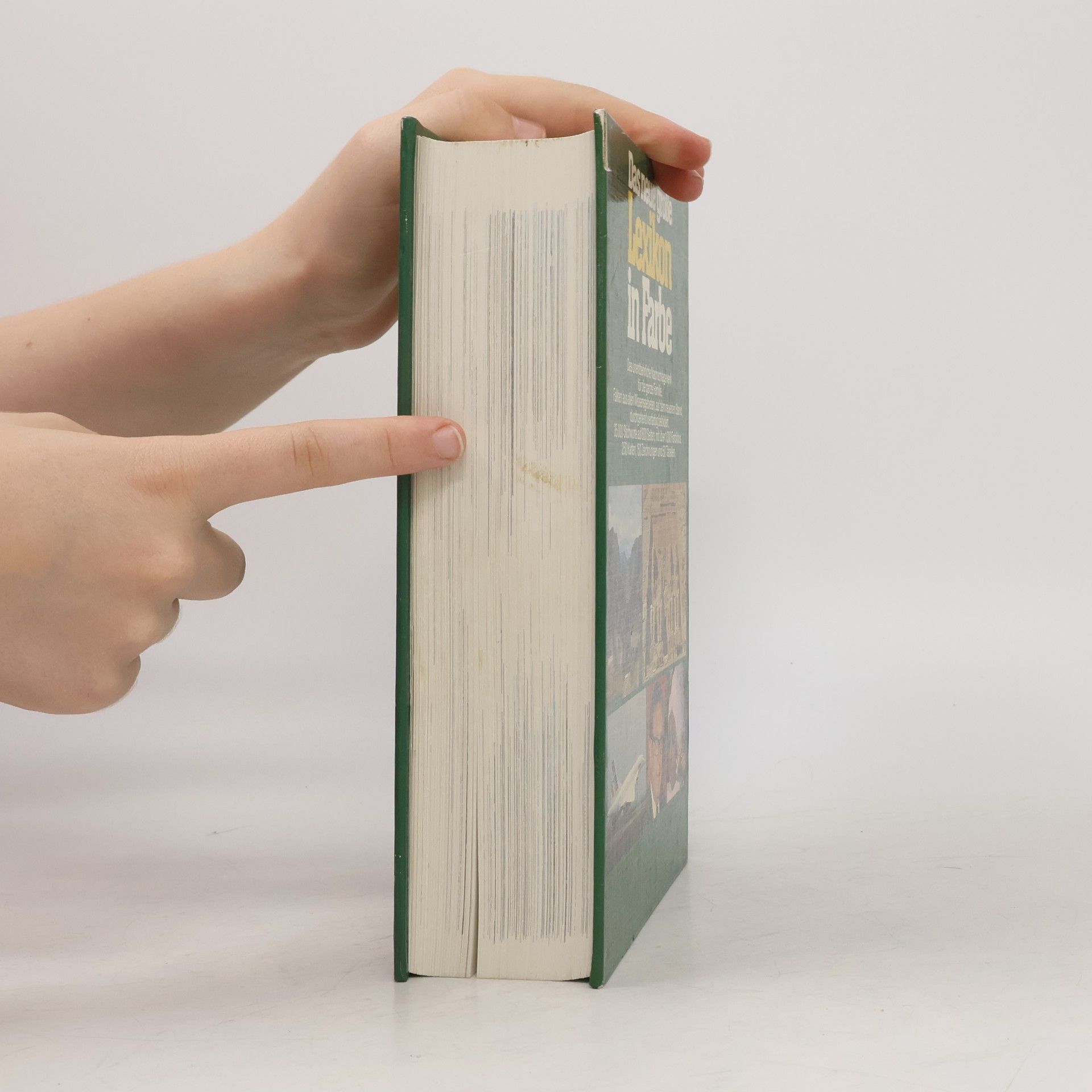 Various authors Das neues großes Lexikon in Farbe A-Z