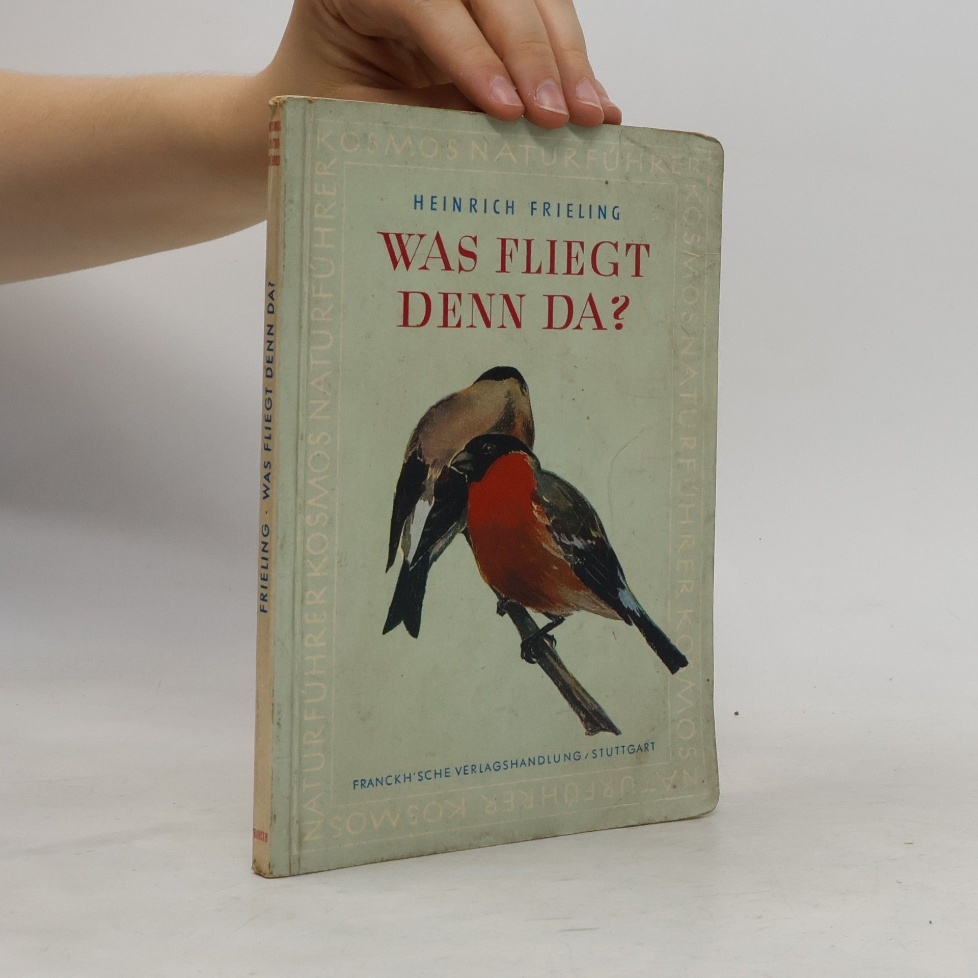 Heinrich Frieling Was fliegt denn da?