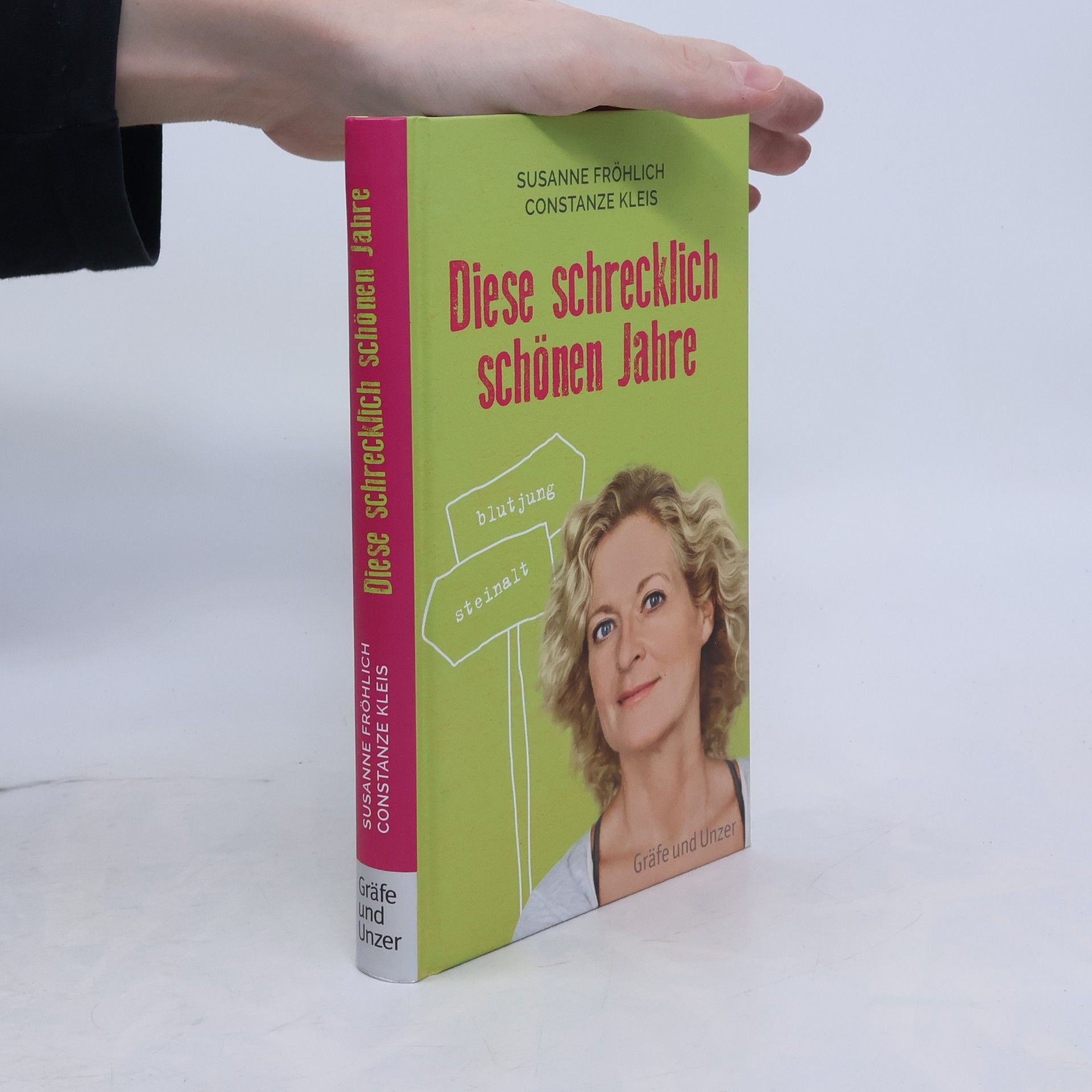 Susanne Fröhlich Diese schrecklich schönen Jahre