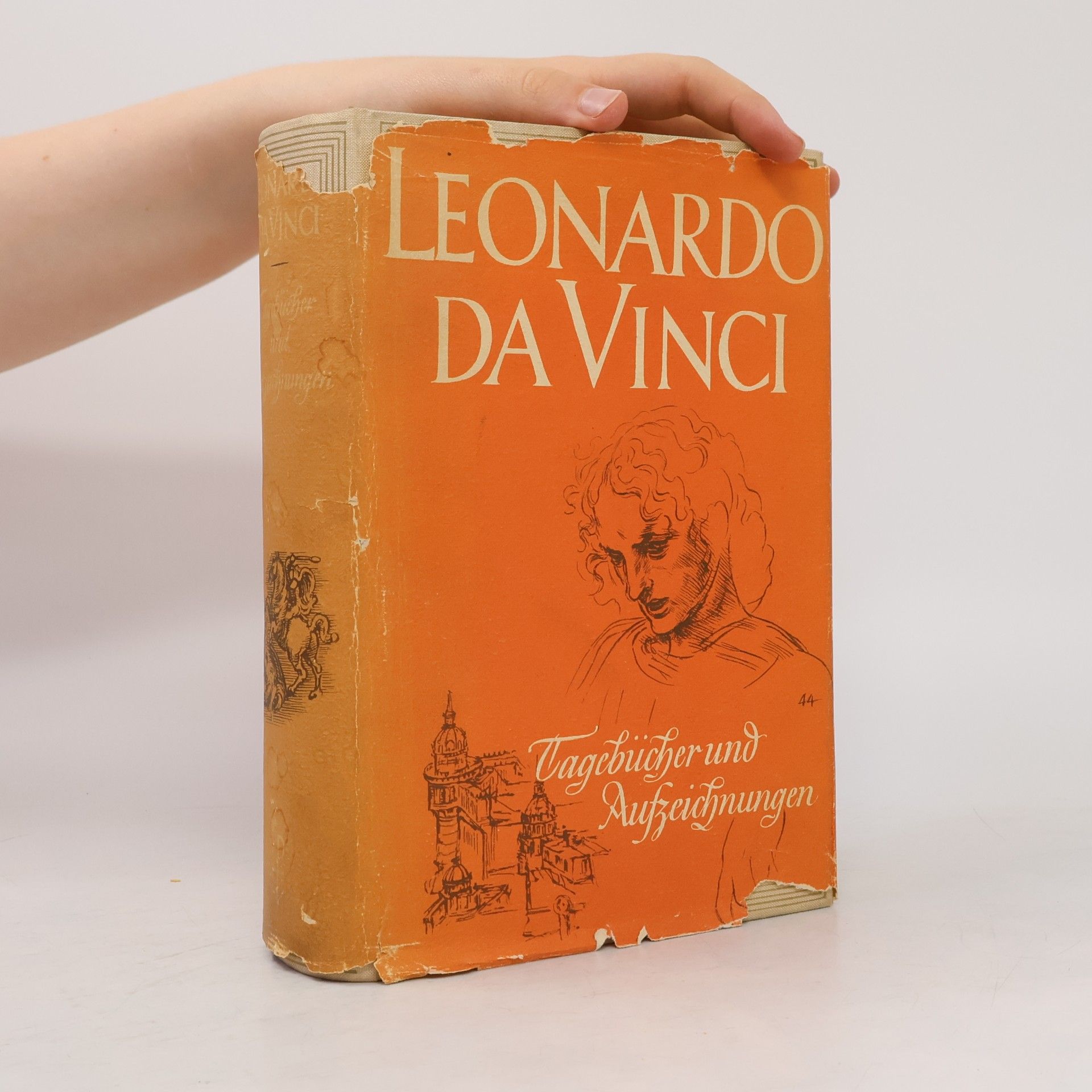 Leonardo da Vinci Tagebücher und Aufzeichnungen