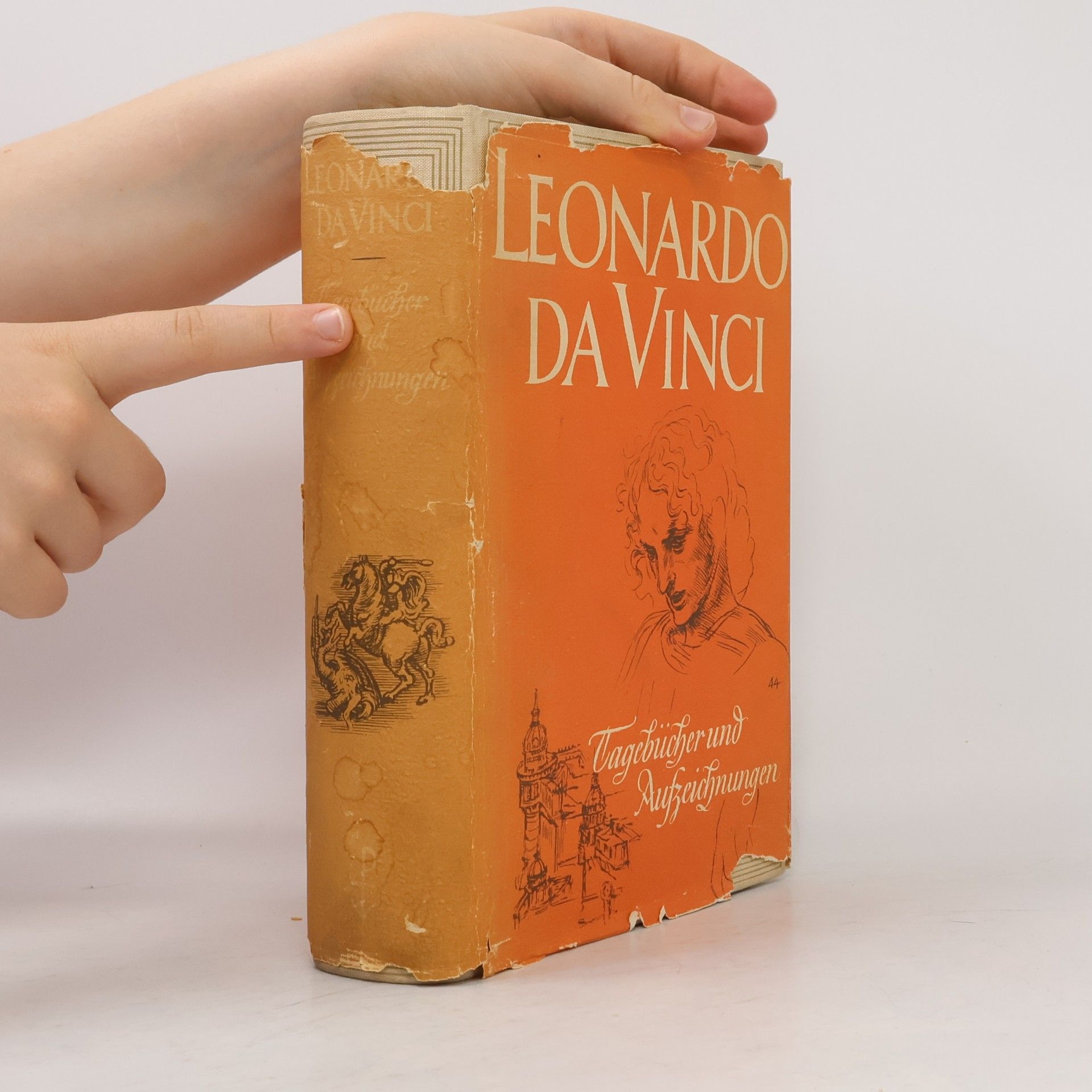 Leonardo da Vinci Tagebücher und Aufzeichnungen