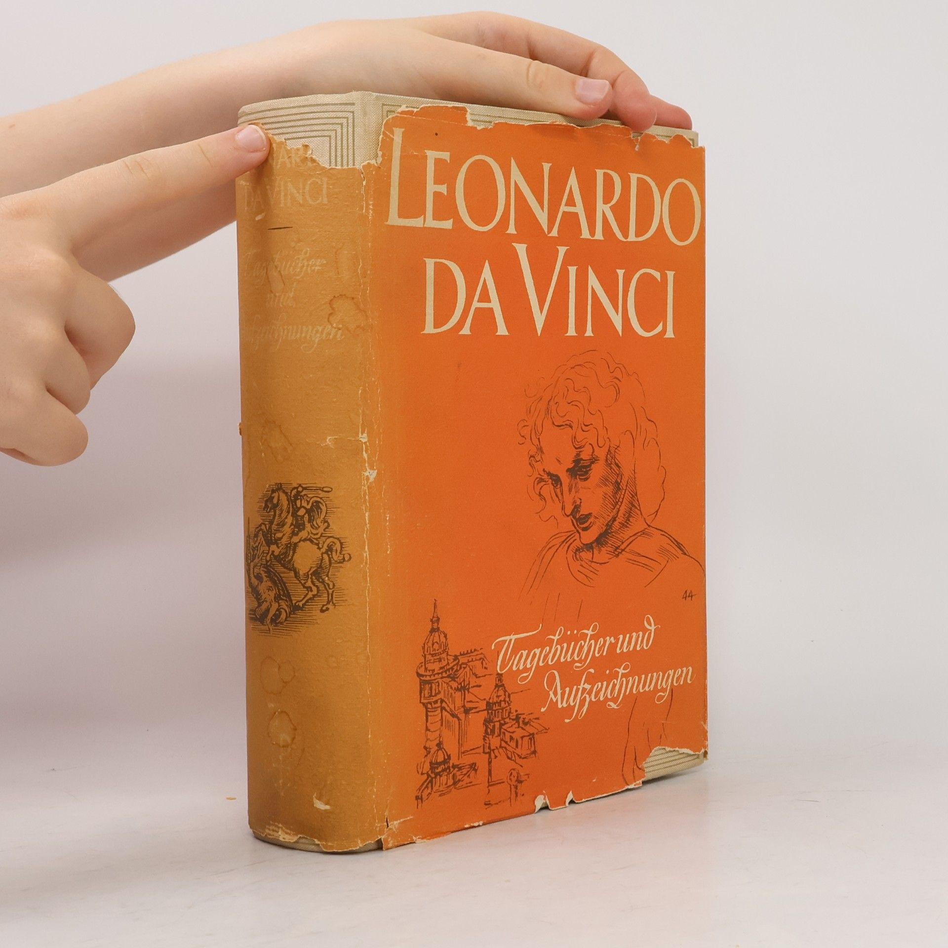 Leonardo da Vinci Tagebücher und Aufzeichnungen