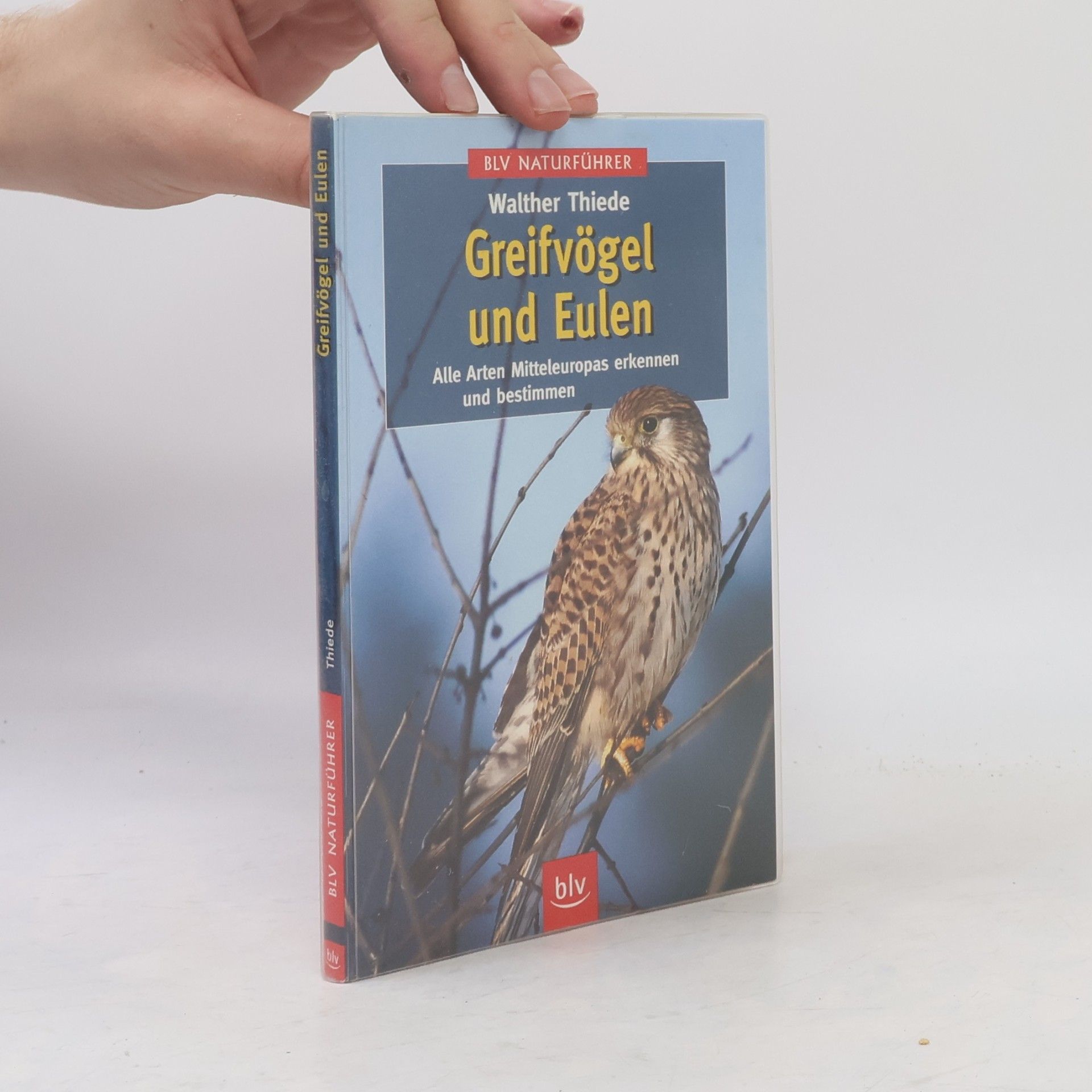 Walther Thiede Greifvögel und Eulen