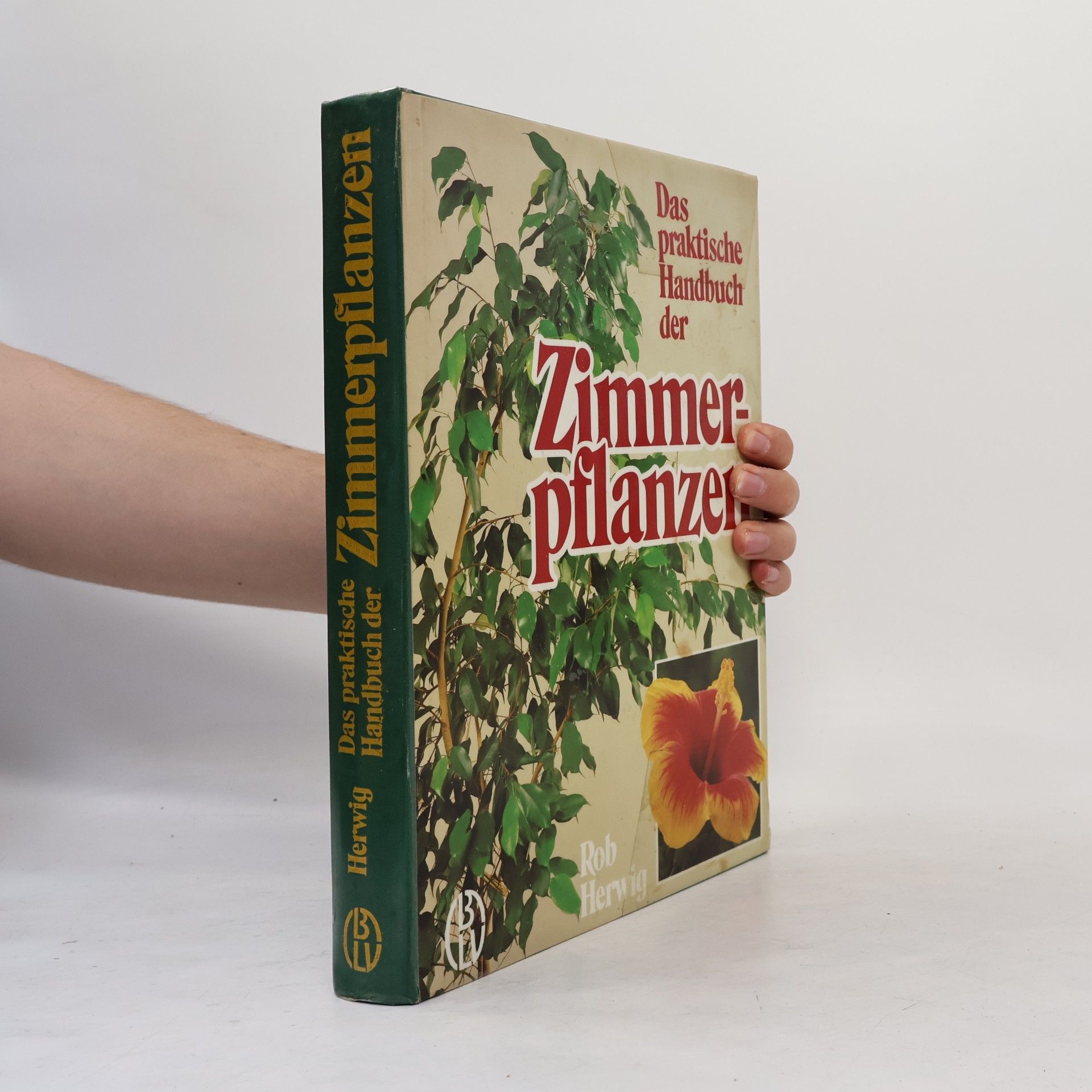 Rob Hewig Das praktische Handbuch der Zimmerpflanzen