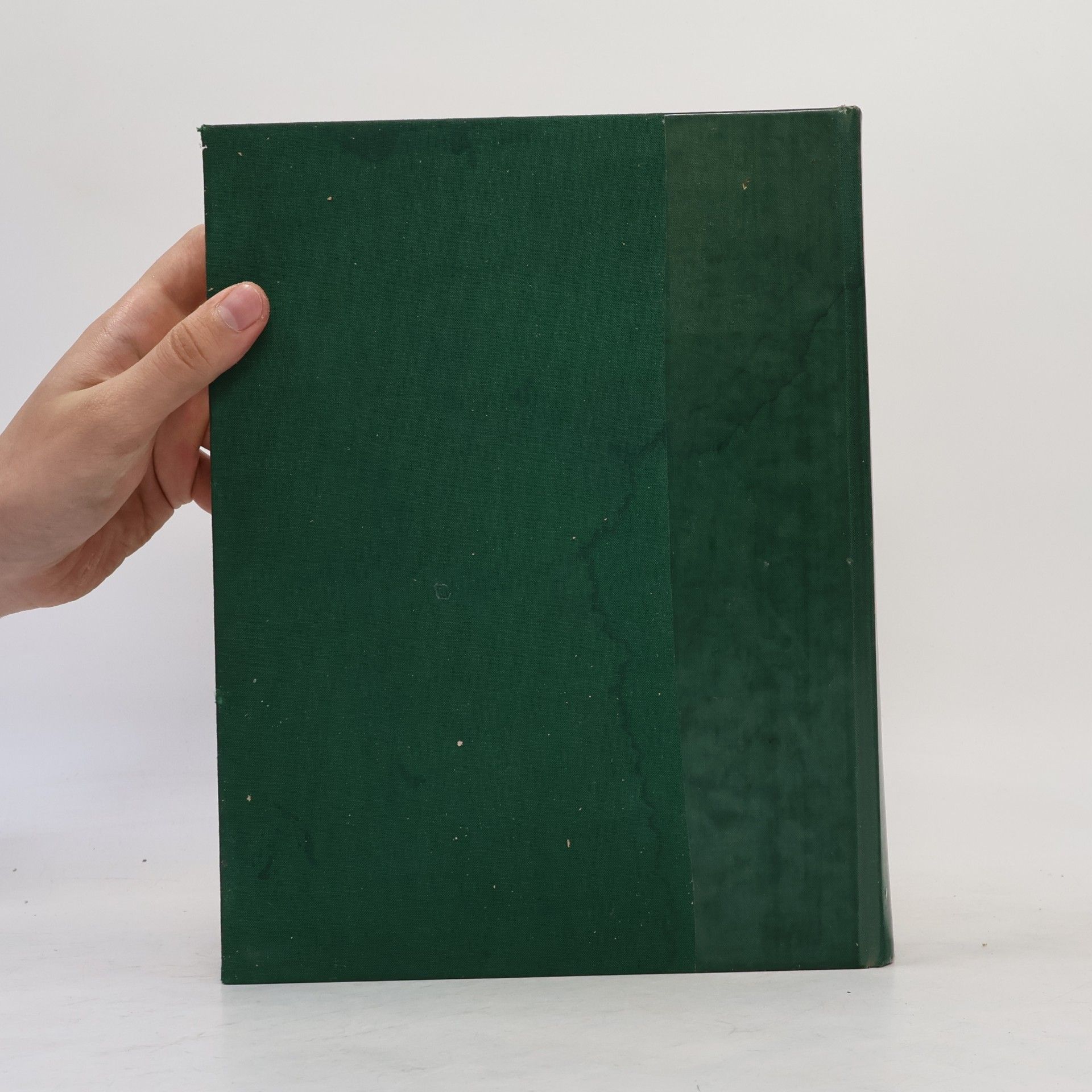 Rob Hewig Das praktische Handbuch der Zimmerpflanzen