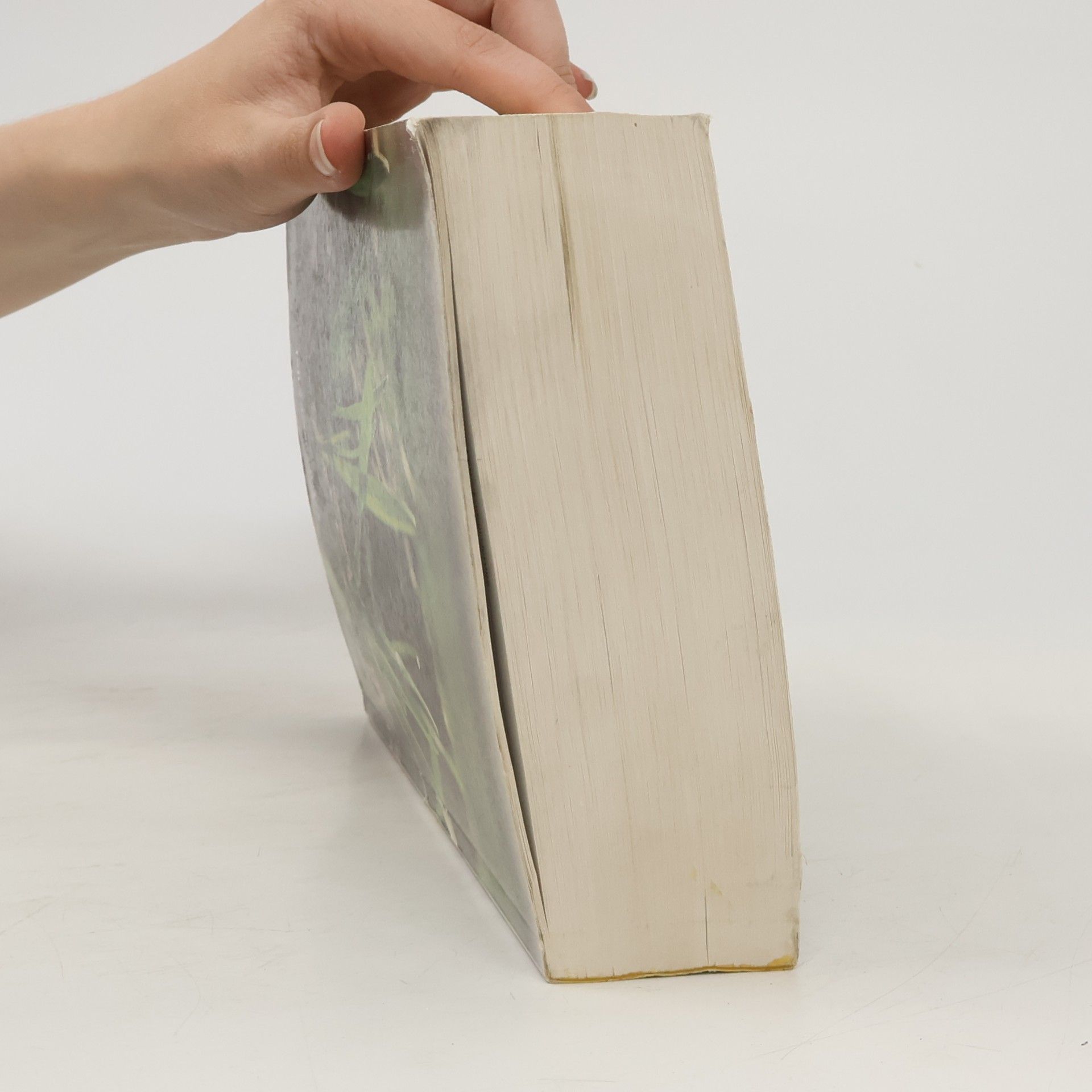 Norbert Lütke Entrup Lehrbuch des Pflanzenbaues