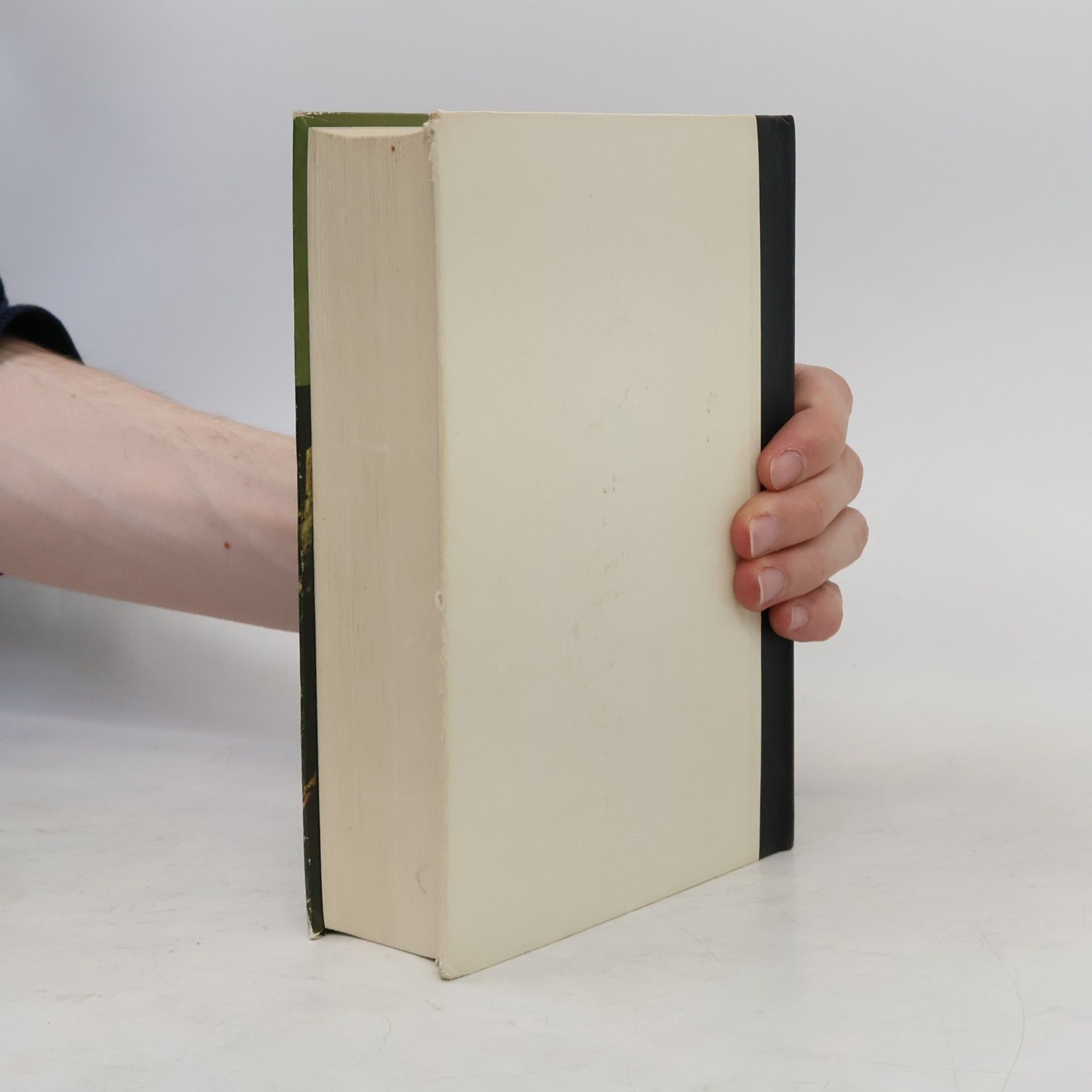 Fyodor Dostoyevsky Die Brüder Karamasoff