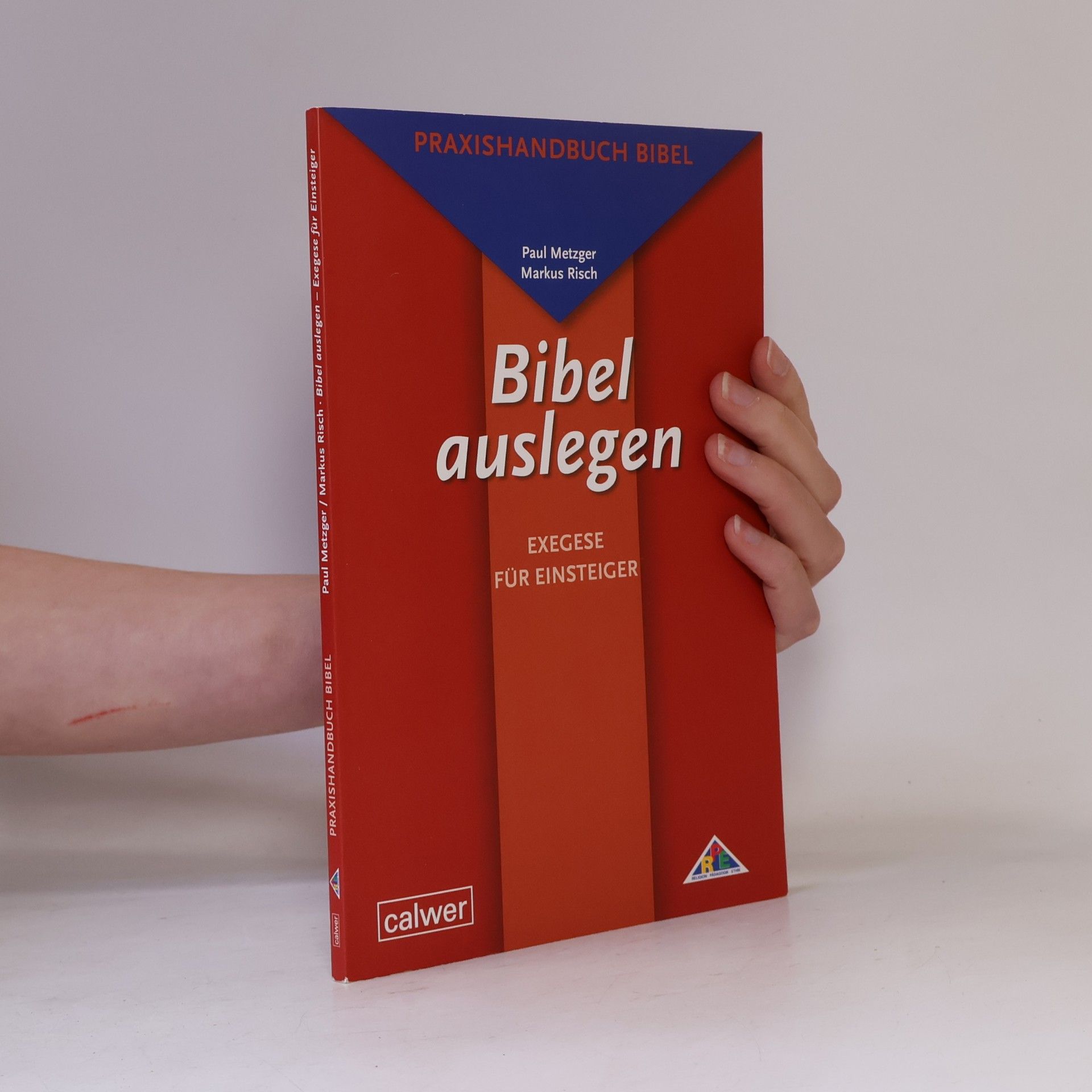 Markus Risch Bibel auslegen - Exegese für Einsteiger
