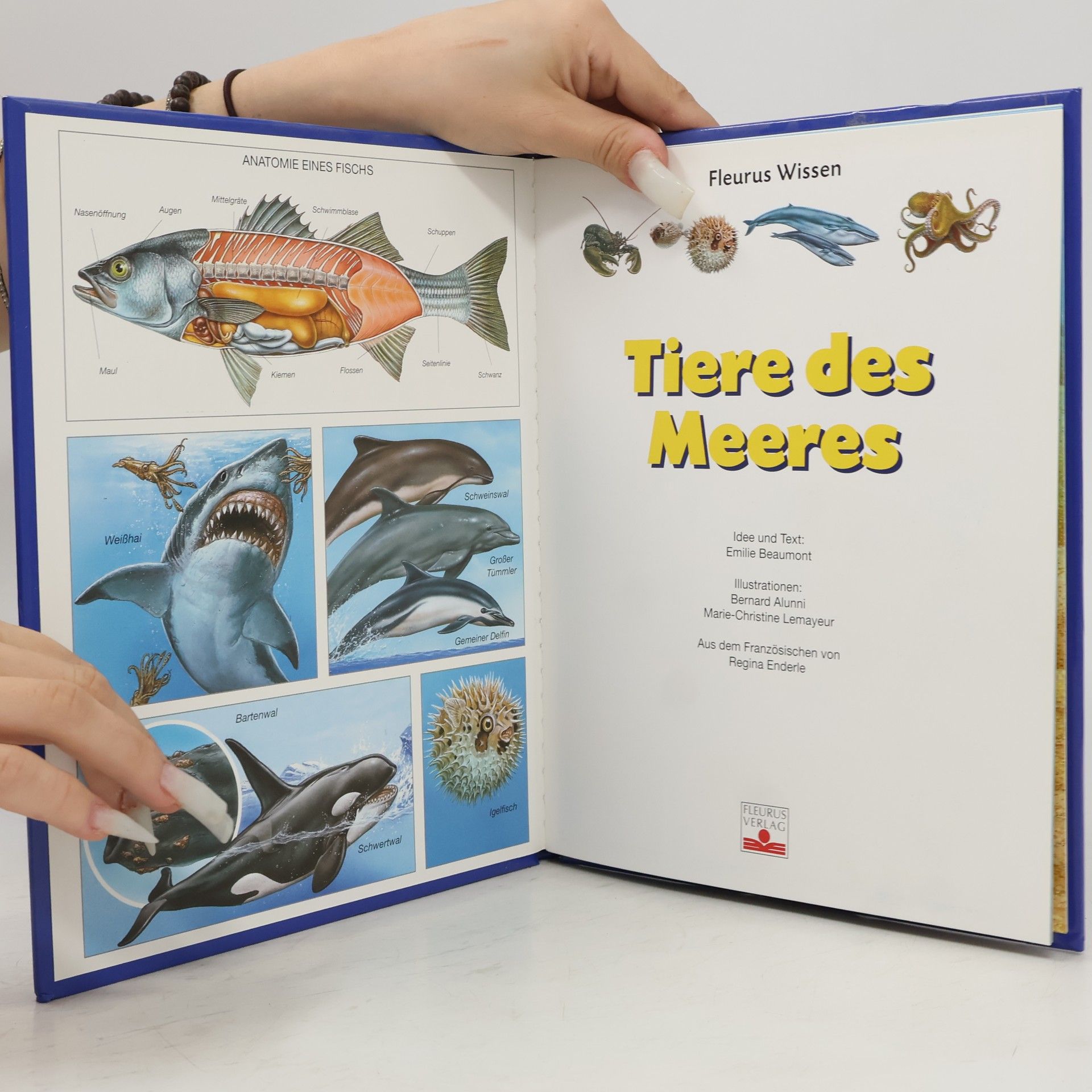 Émilie Beaumont Fleurus Wissen: Tiere des Meeres
