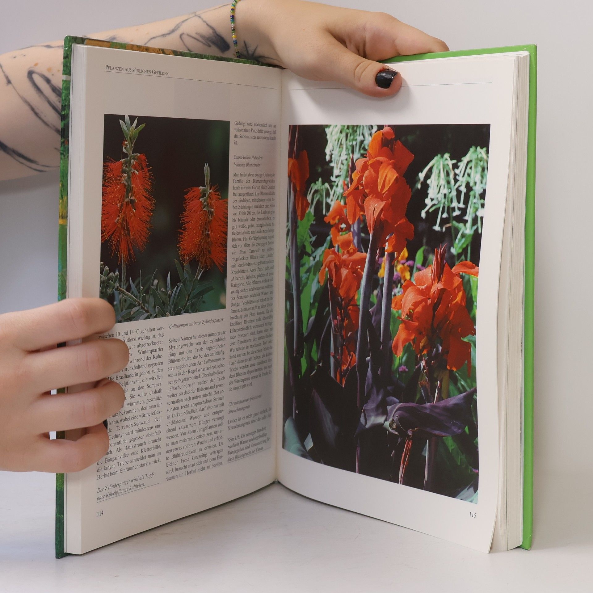 Autorenkollektiv Das neue große Gartenbuch