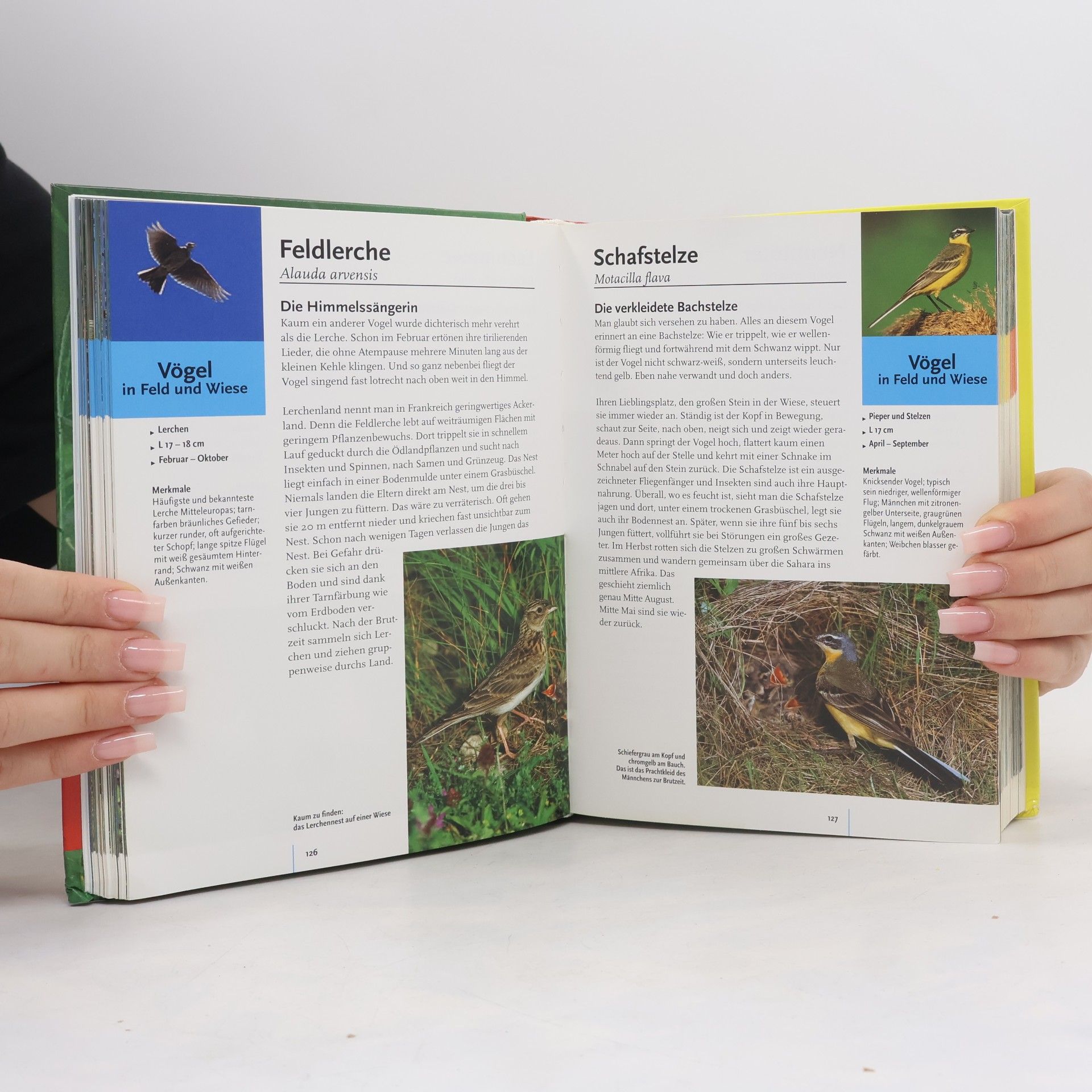 Wolfgang Dreyer Das Kosmos-Handbuch Tiere und Pflanzen