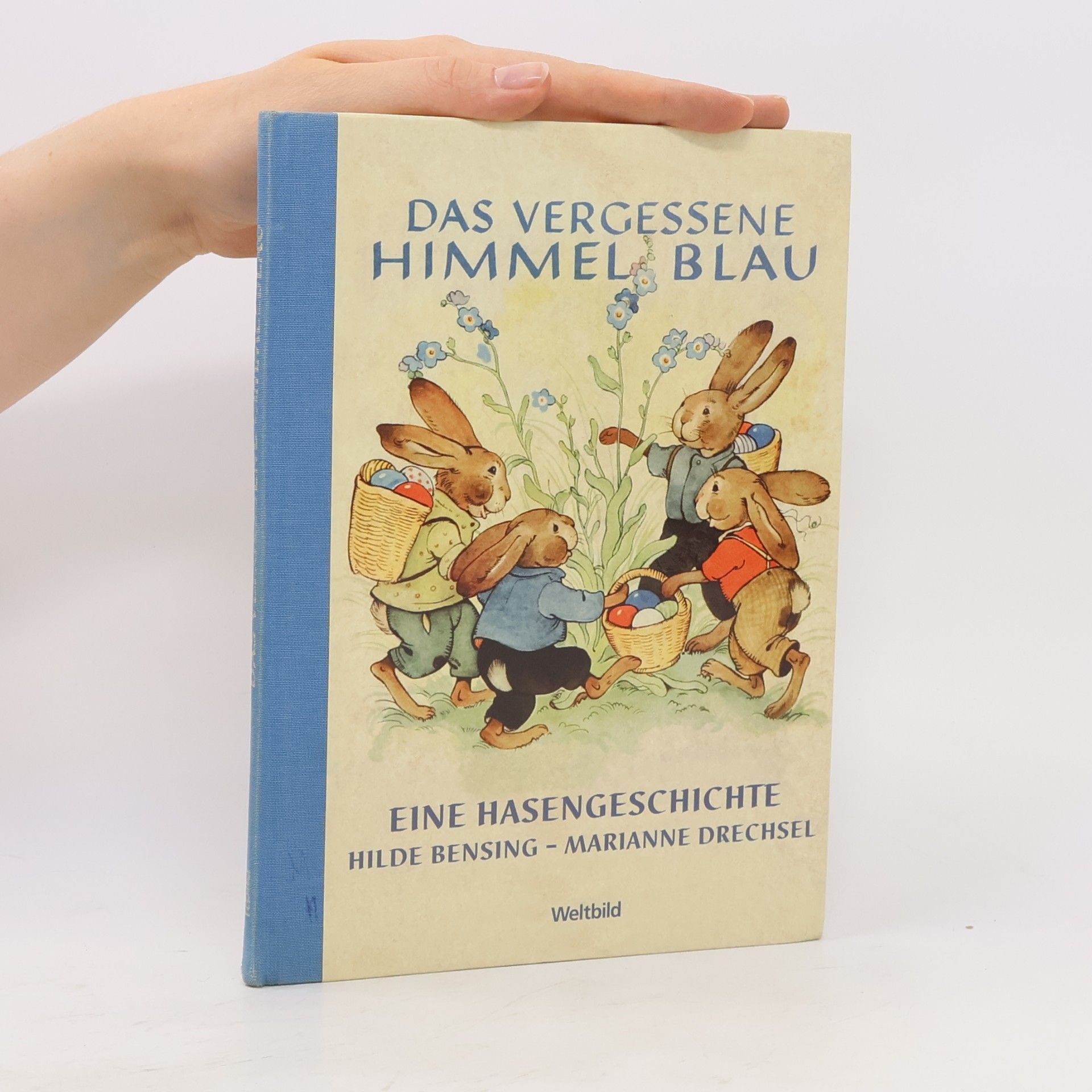 Marianne Drechsel Das vergessene Himmelblau