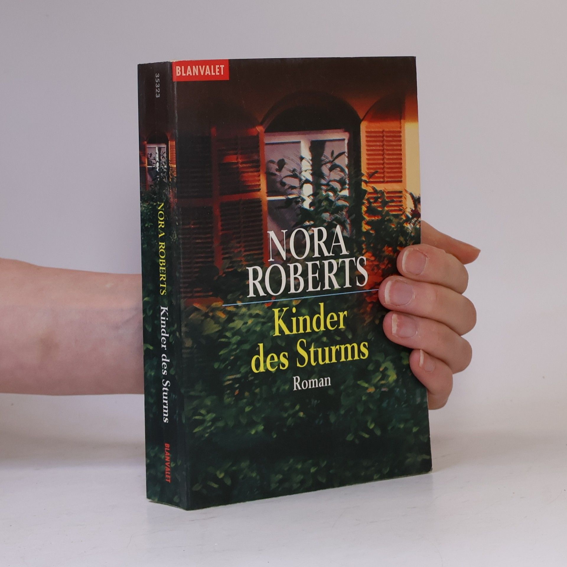 Nora Roberts Kinder des Sturms