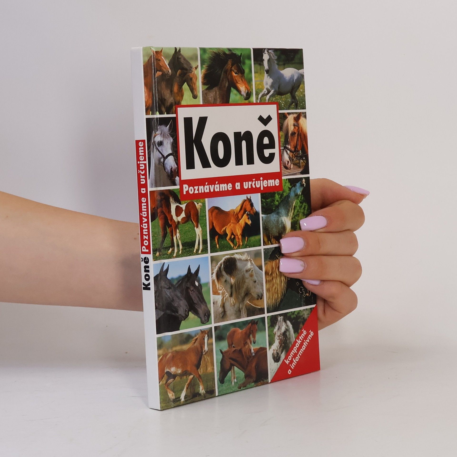 Kolektiv autorů Koně. Poznáváme a určujeme